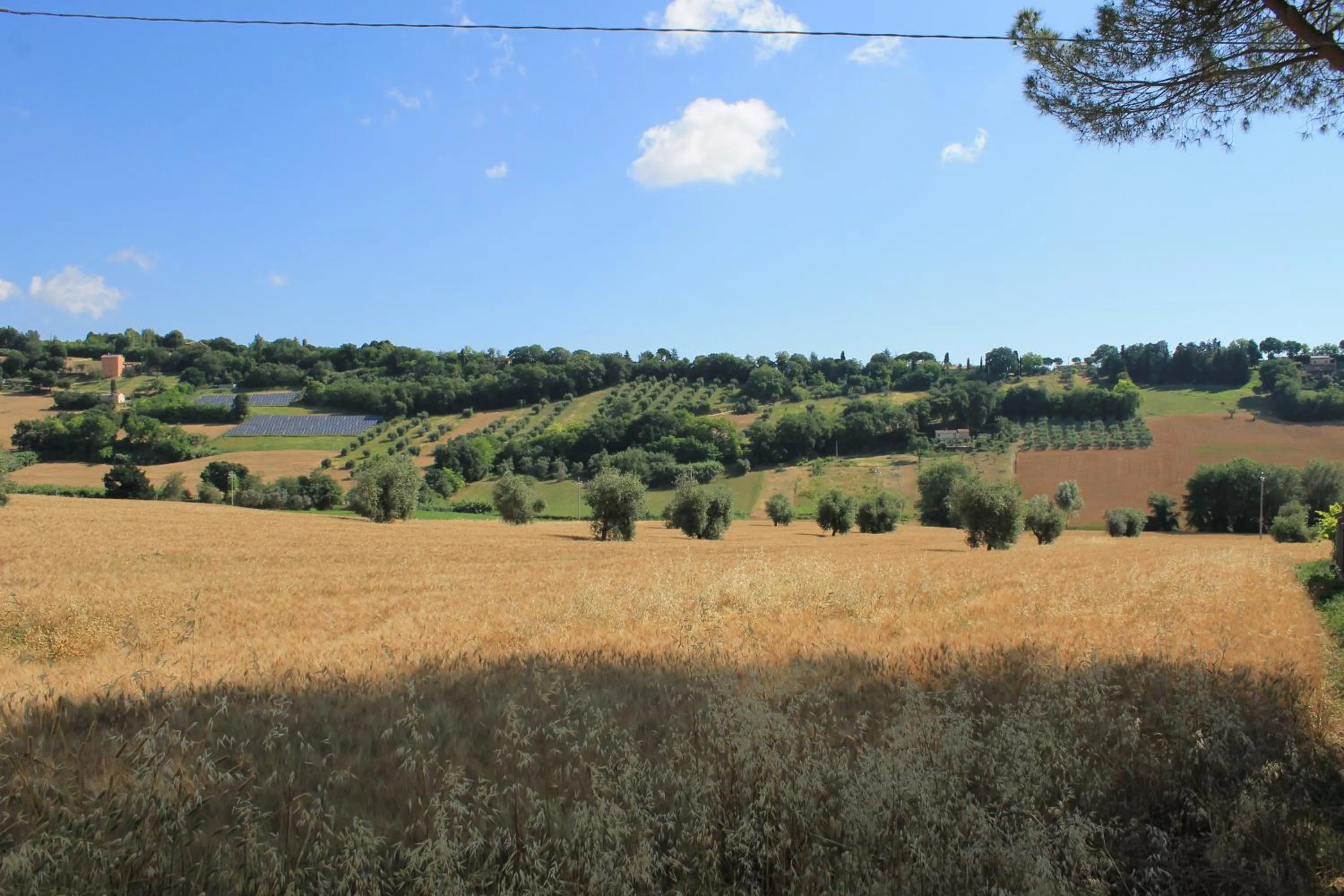 Natural landscape in B&B Il Cavallino