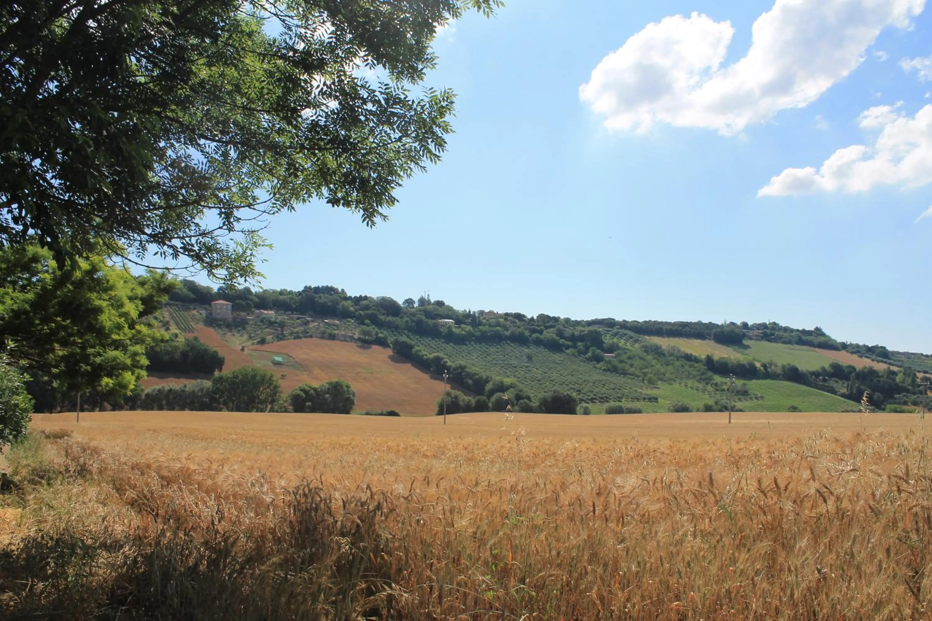 Natural landscape in B&B Il Cavallino