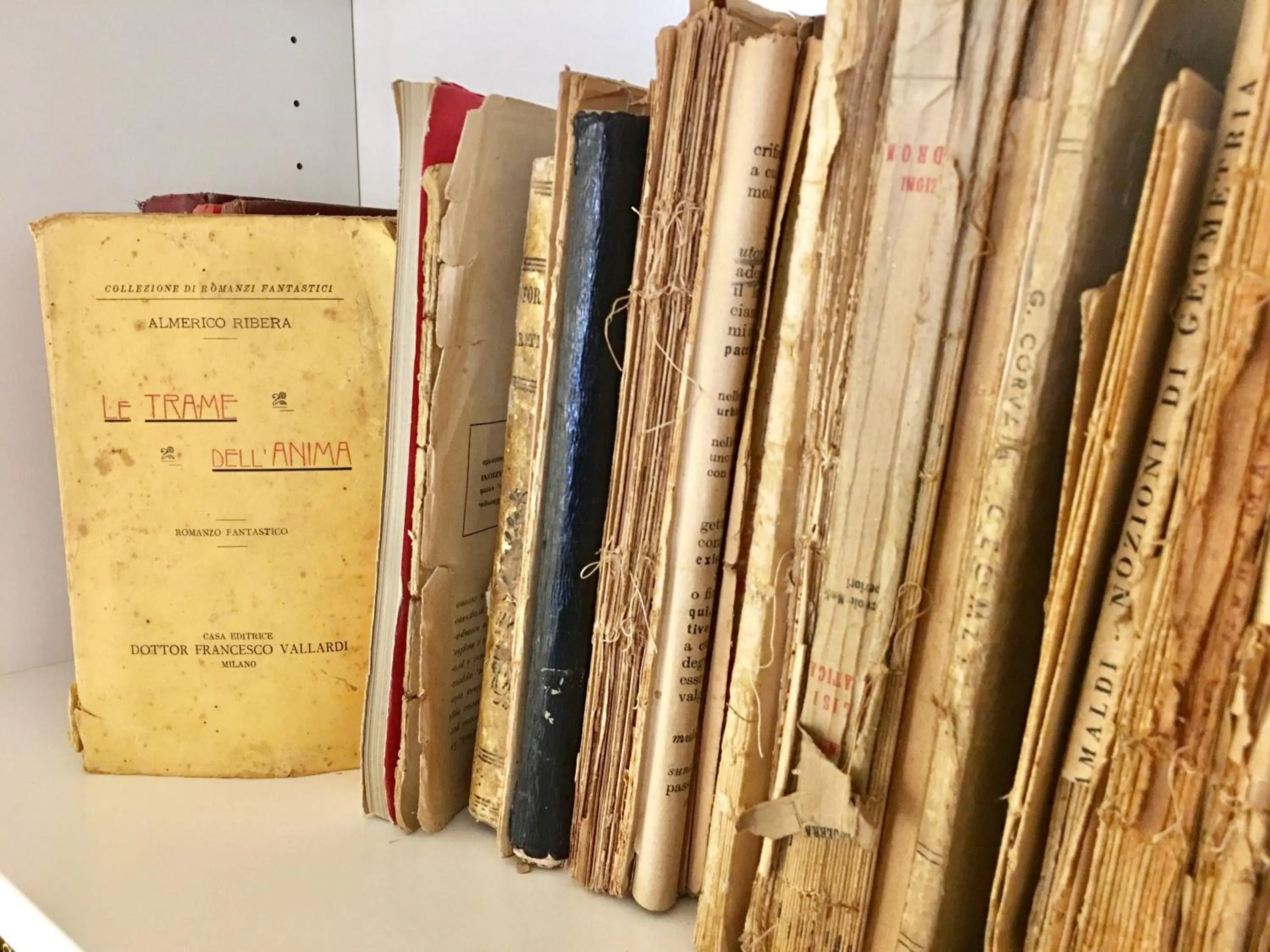 Library in Palazzo del Poeta - Dimora Contemporanea