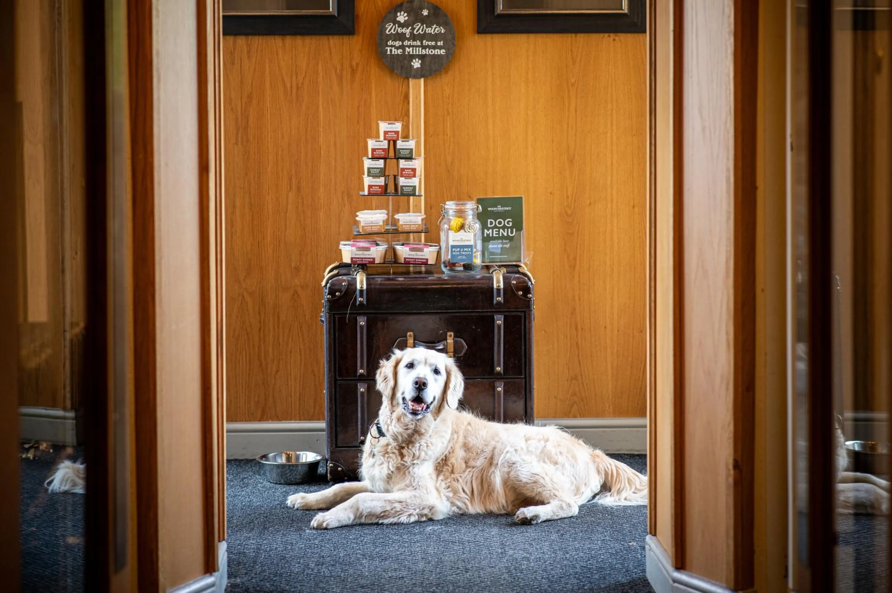 Pets in The Millstone, Mellor