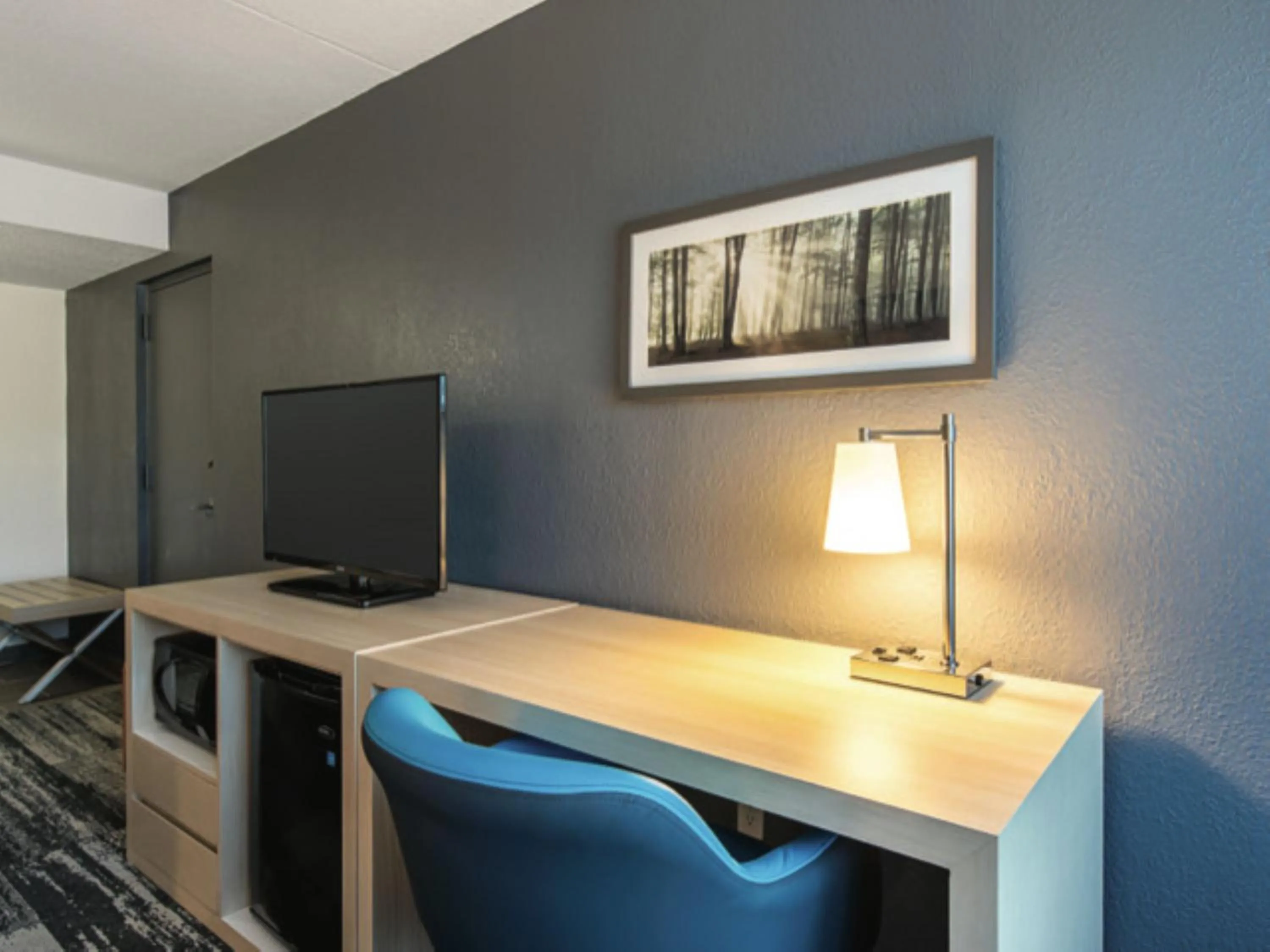 TV and multimedia in Baymont by Wyndham White Plains - Elmsford