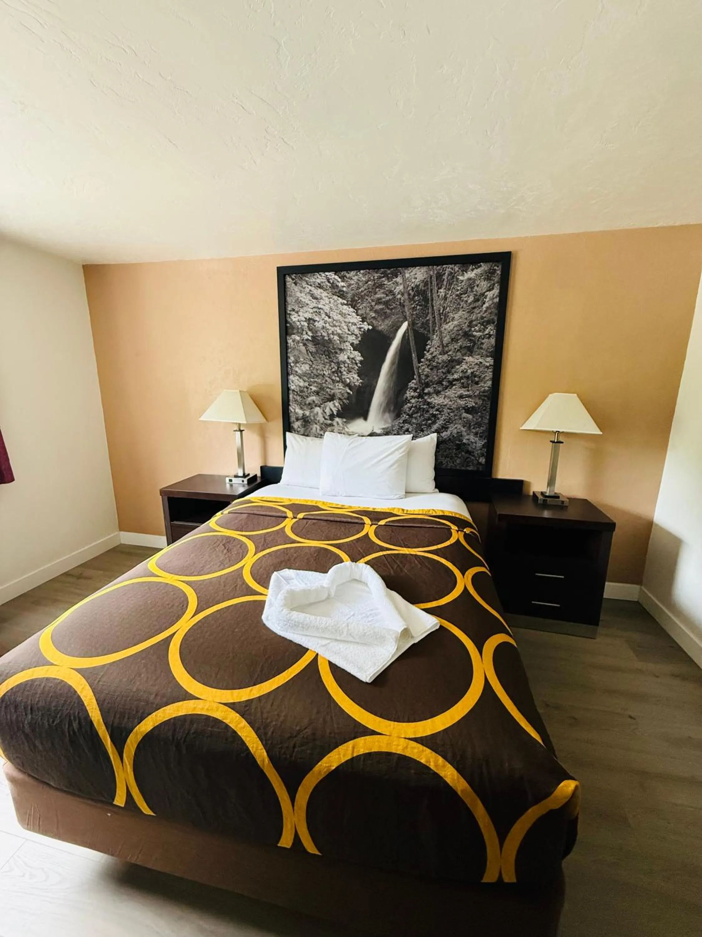 Bed in Super 8 by Wyndham Lacey Olympia Area