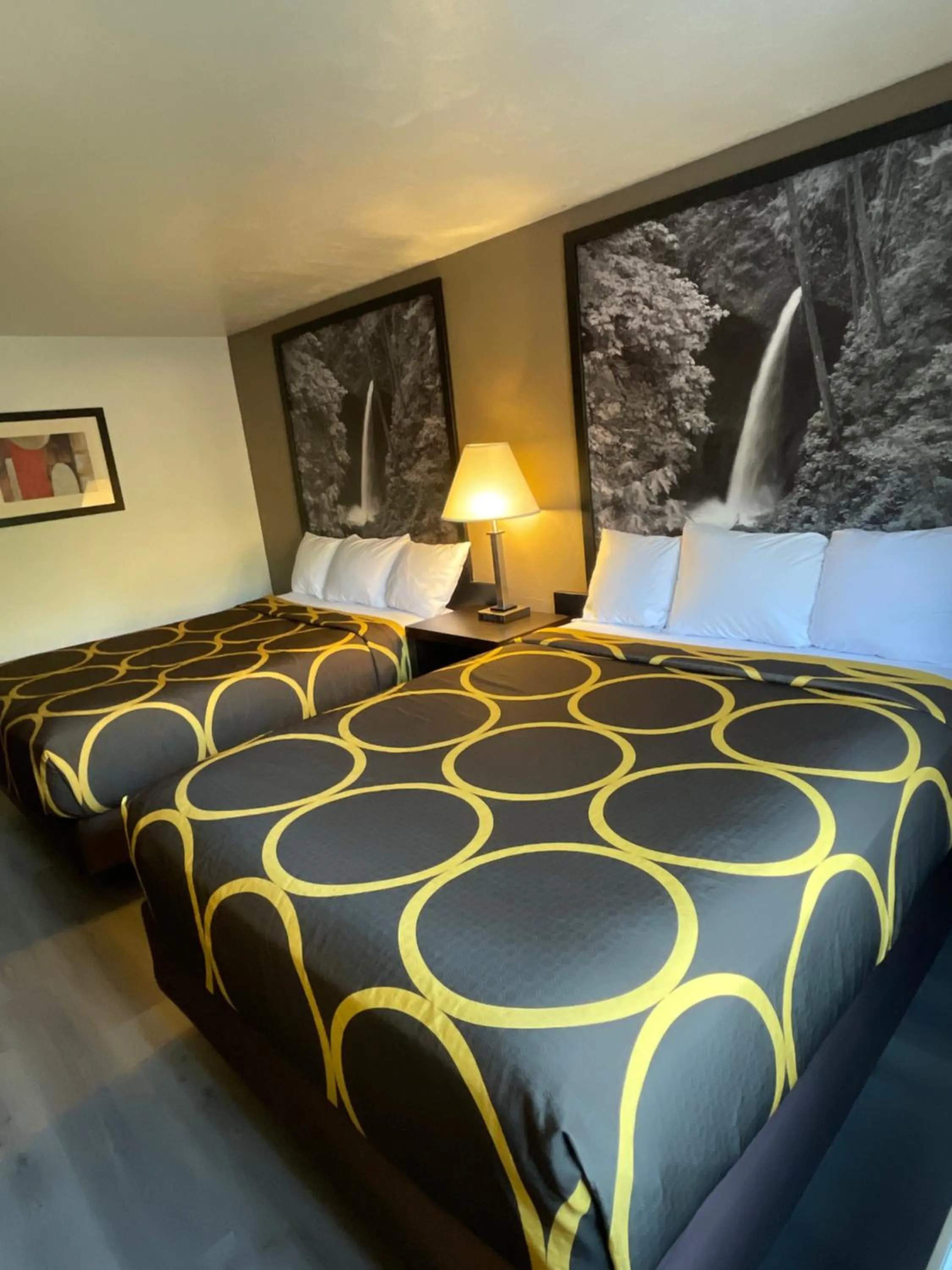 Bed in Super 8 by Wyndham Lacey Olympia Area