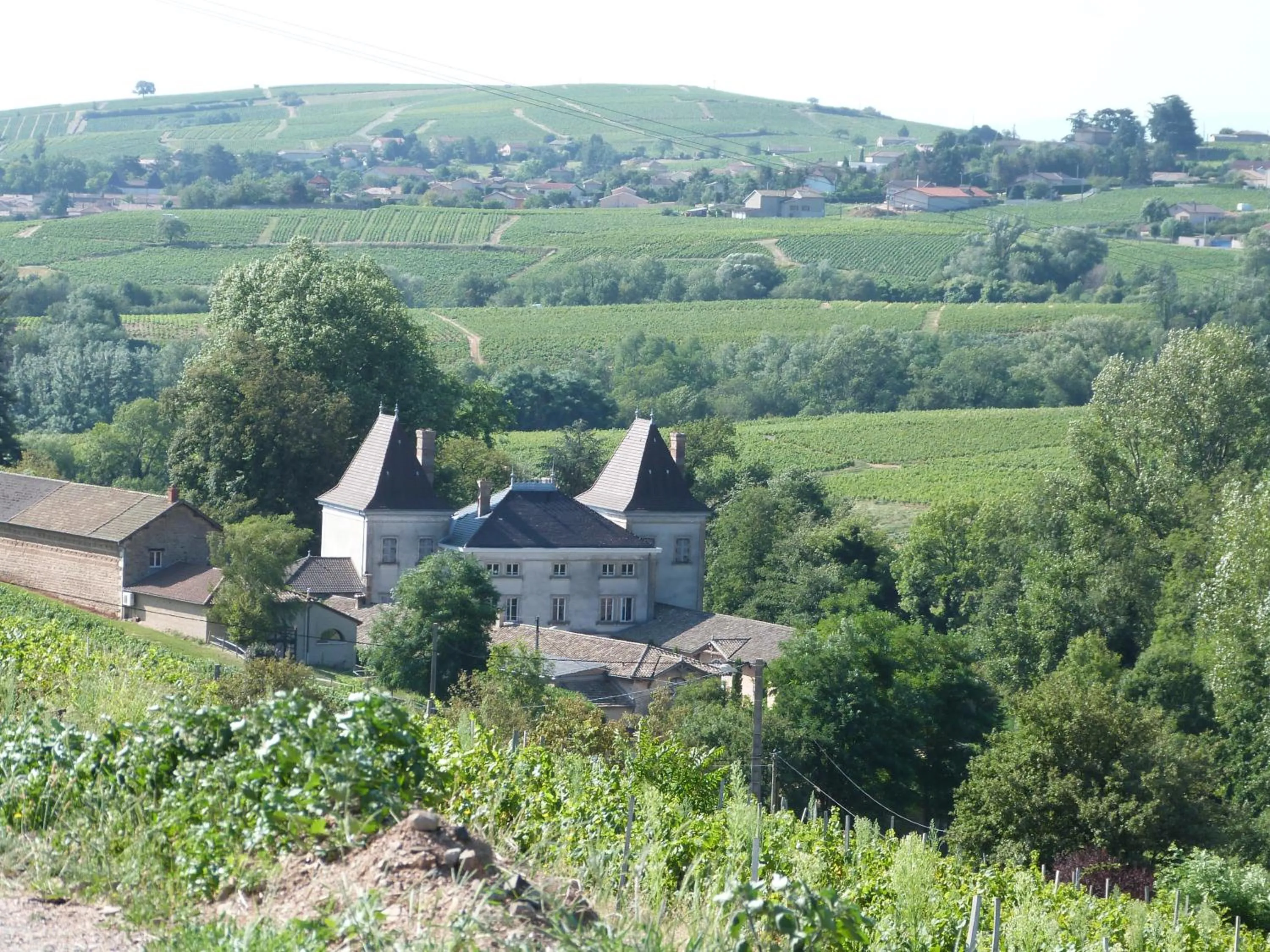 Logis Hotel Des Grands Vins