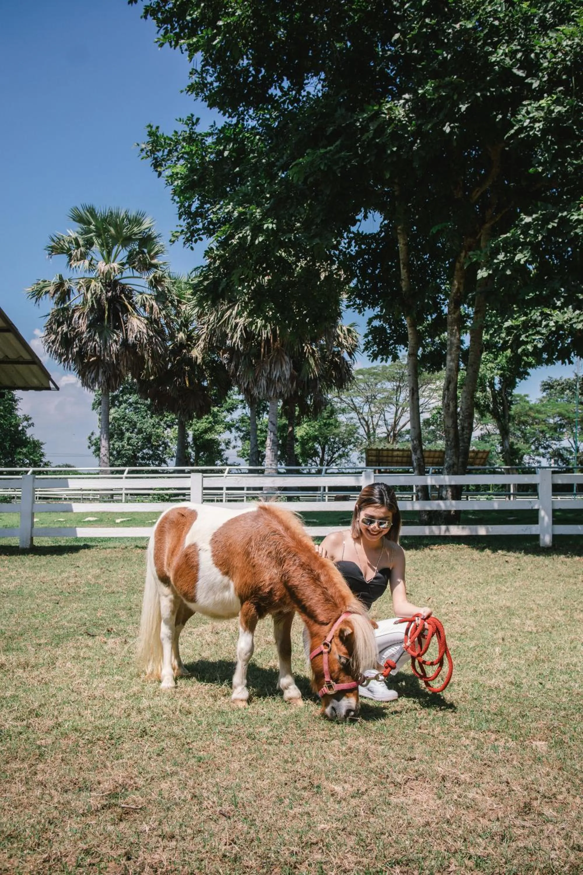 Day in Rancho Charnvee Resort & Country Club Khaoyai