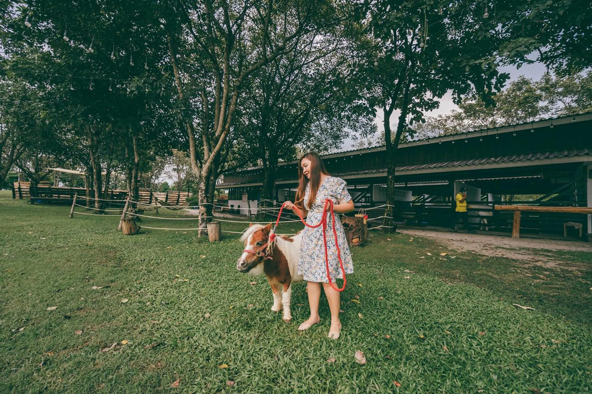 Natural landscape in Rancho Charnvee Resort & Country Club Khaoyai