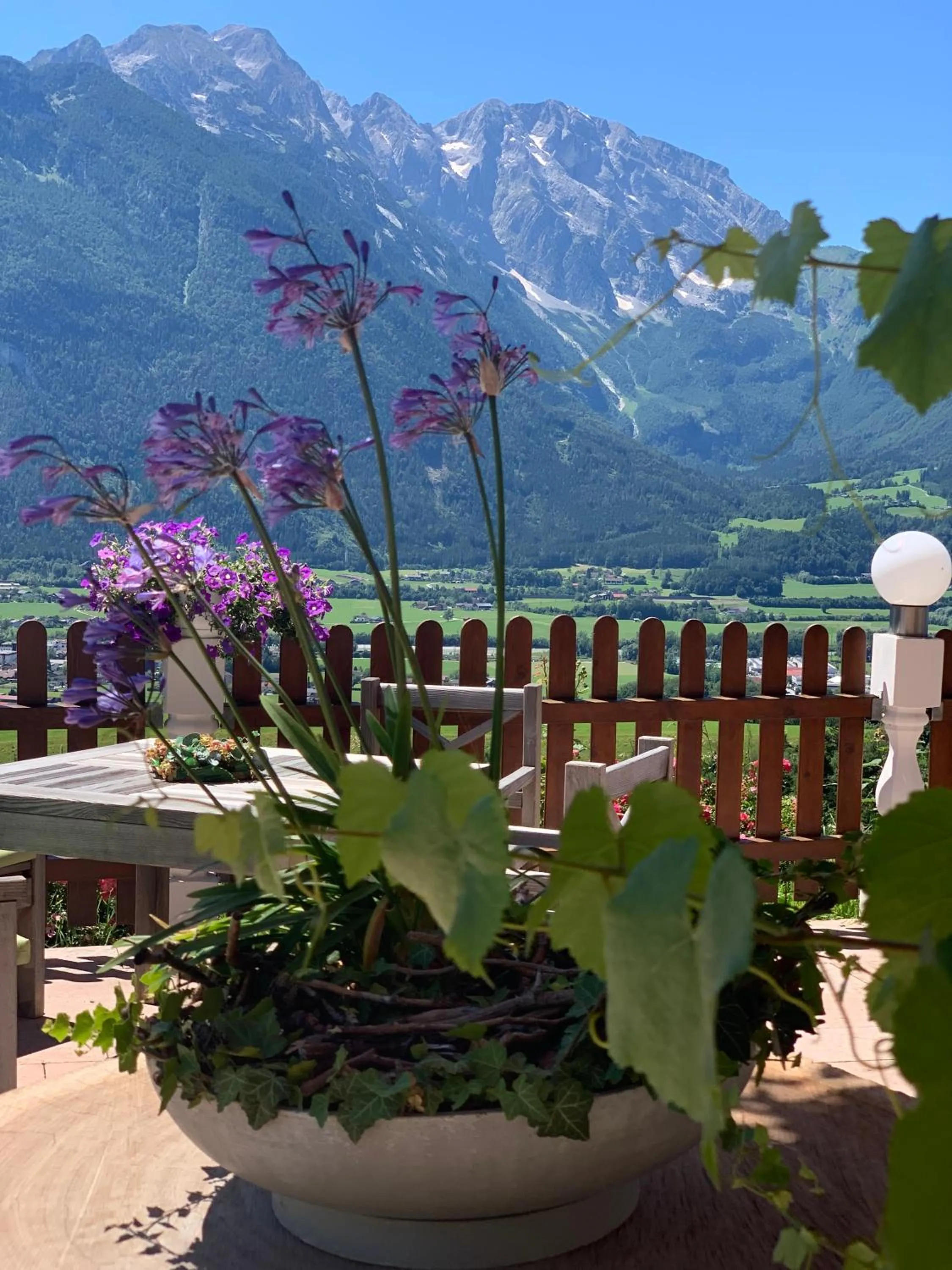 Natural landscape in Stallerhof