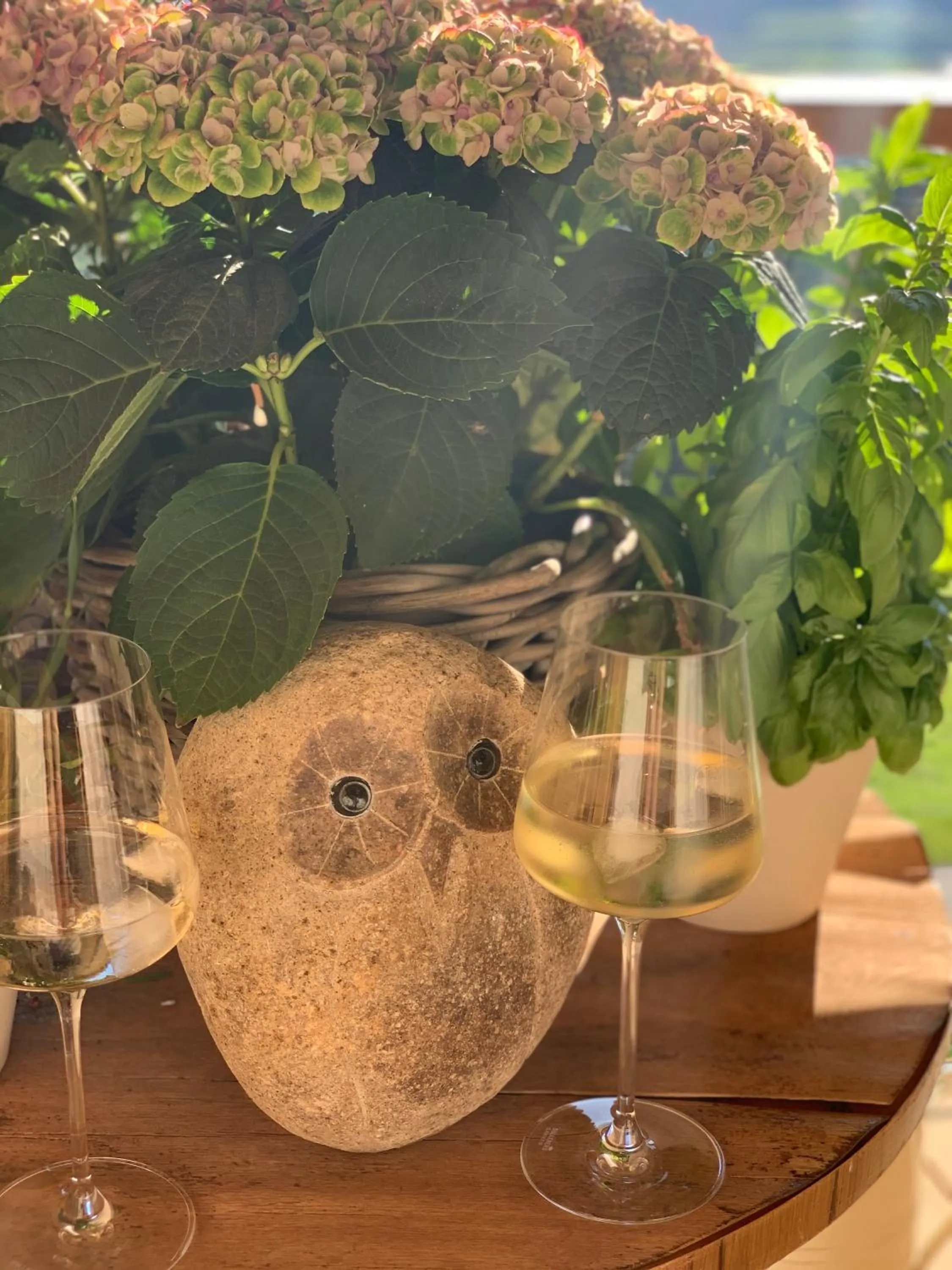 Drinks in Stallerhof