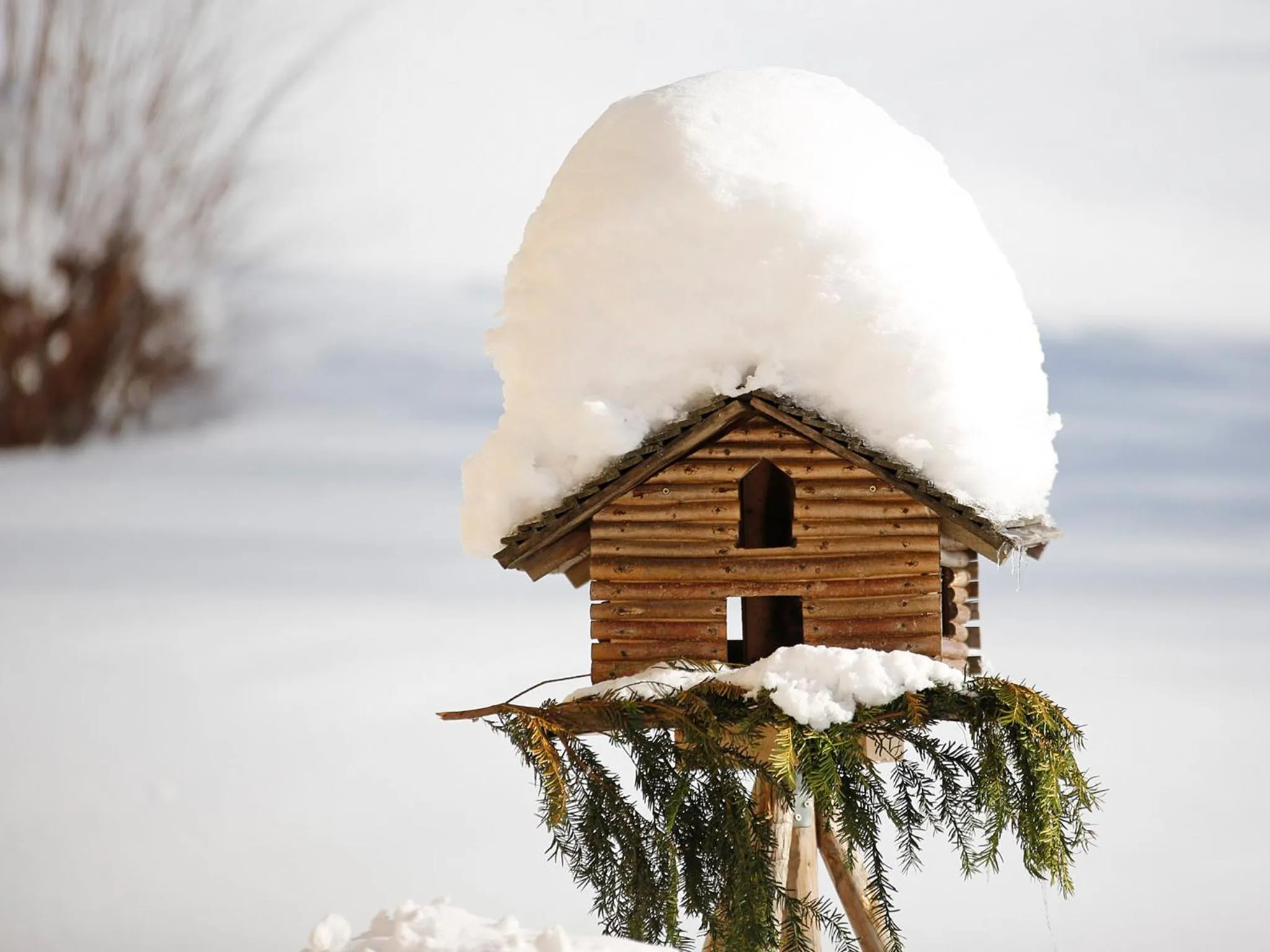 Winter in Stallerhof