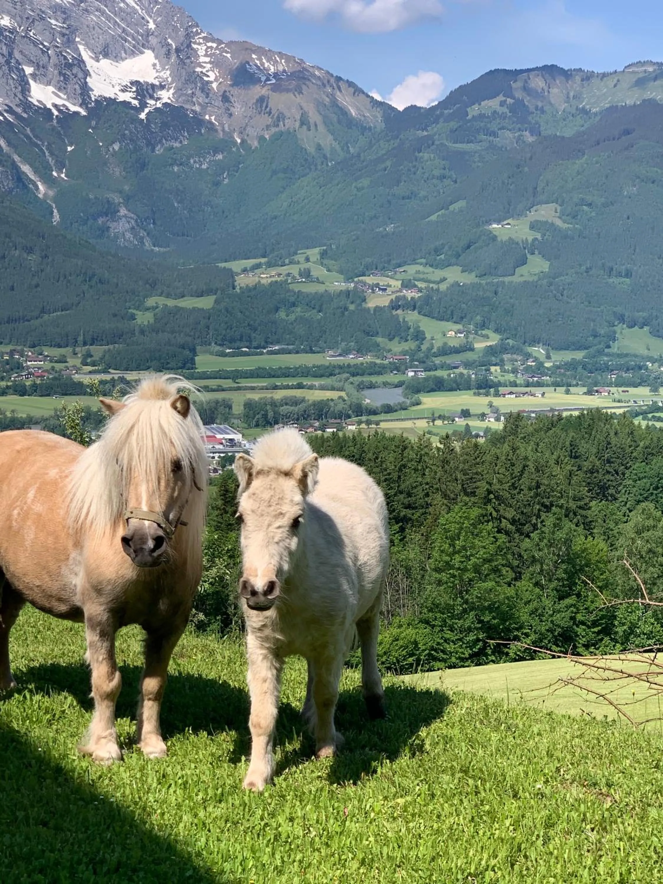 Property building in Stallerhof