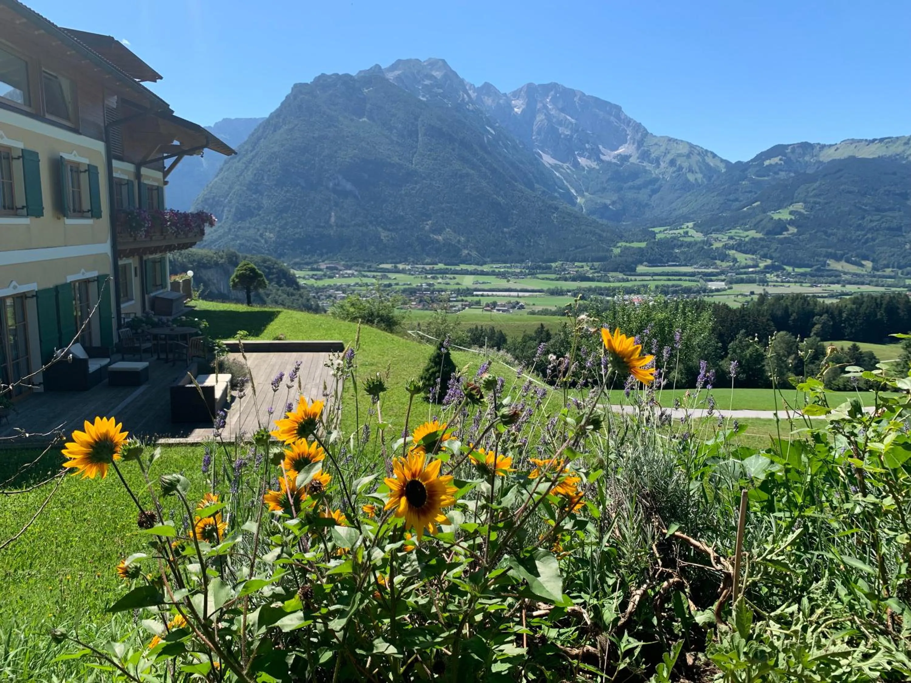 Natural landscape in Stallerhof