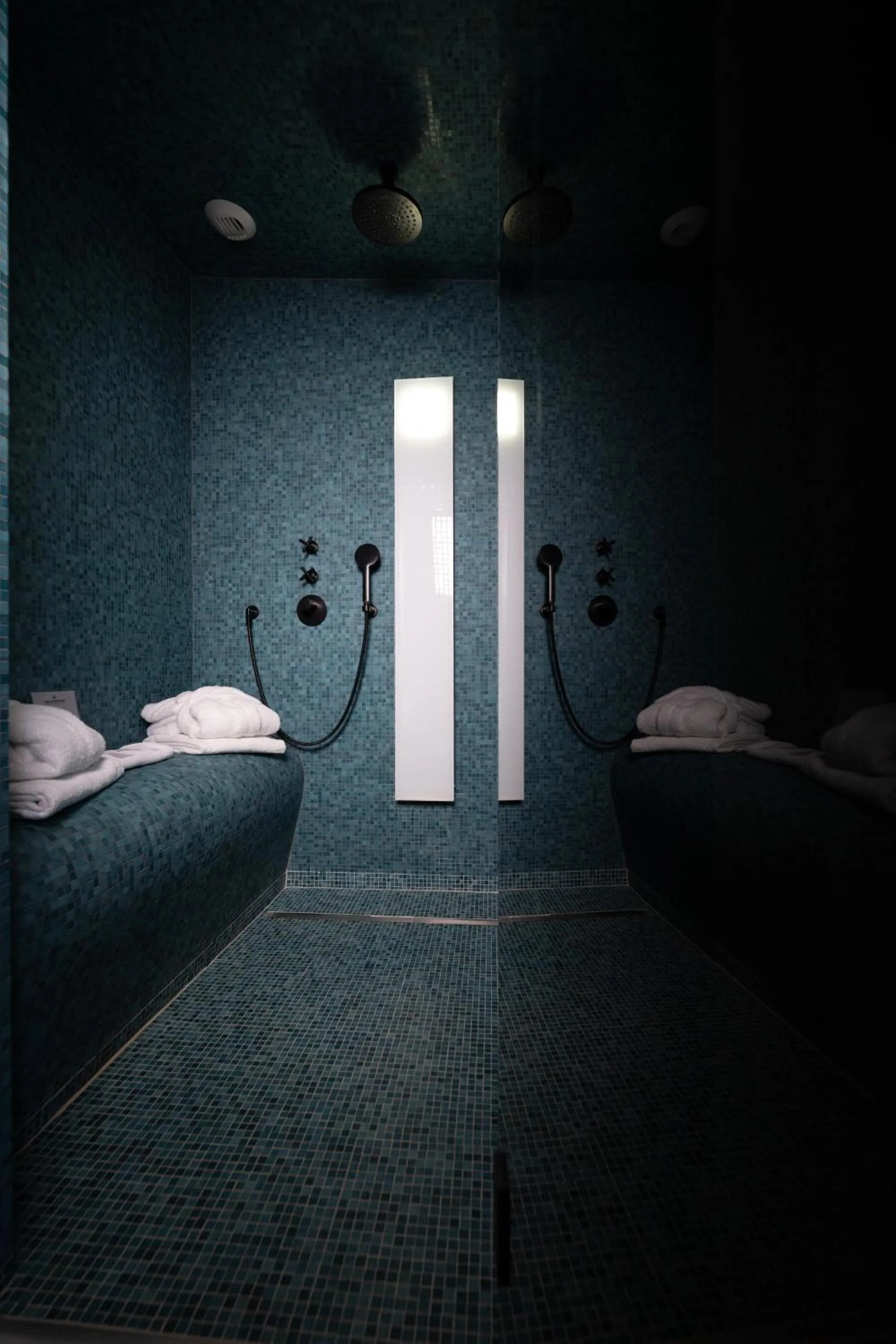 Steam room, Bed in Hotel Meilenstein