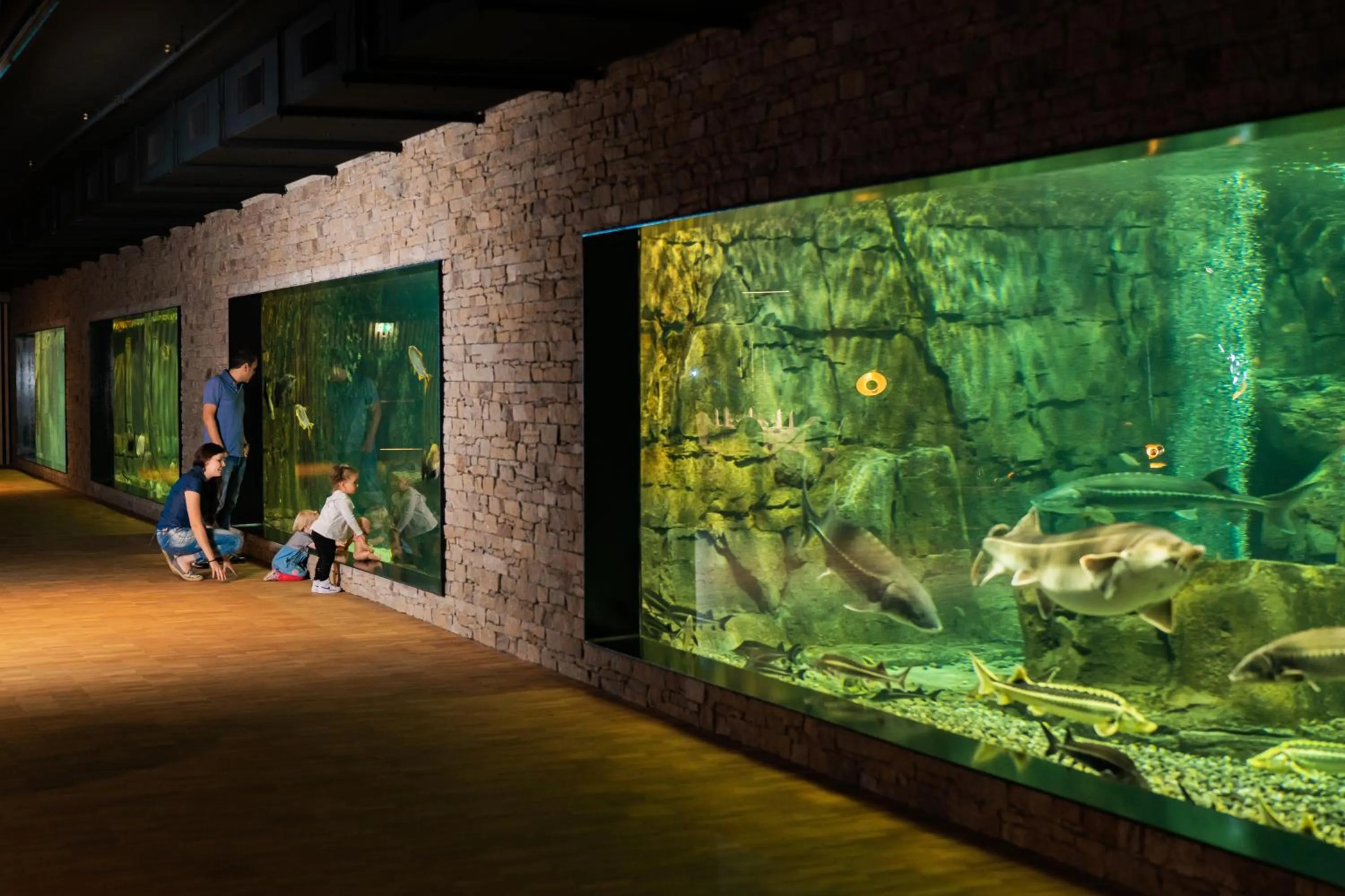 Activities in Hotel Meilenstein