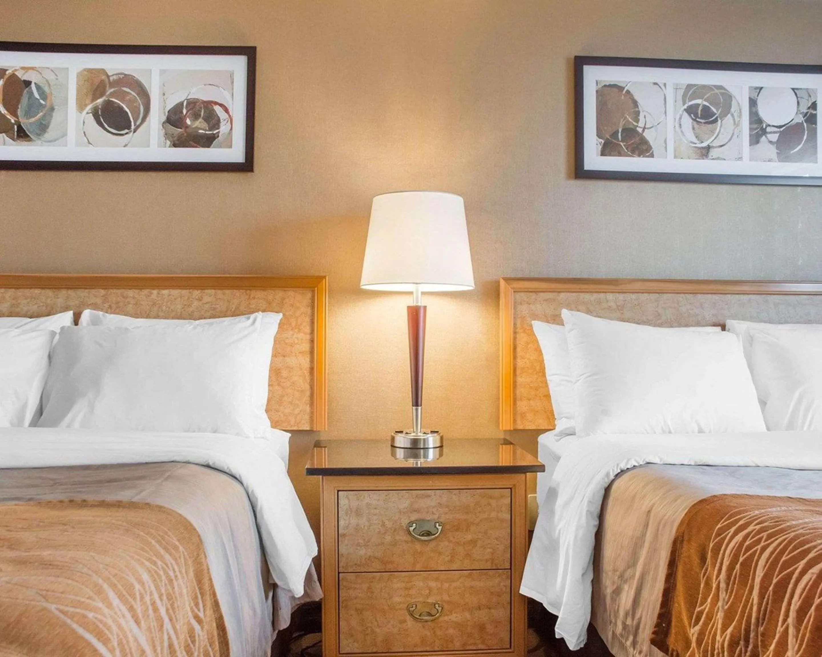 Photo of the whole room, Bed in Comfort Inn