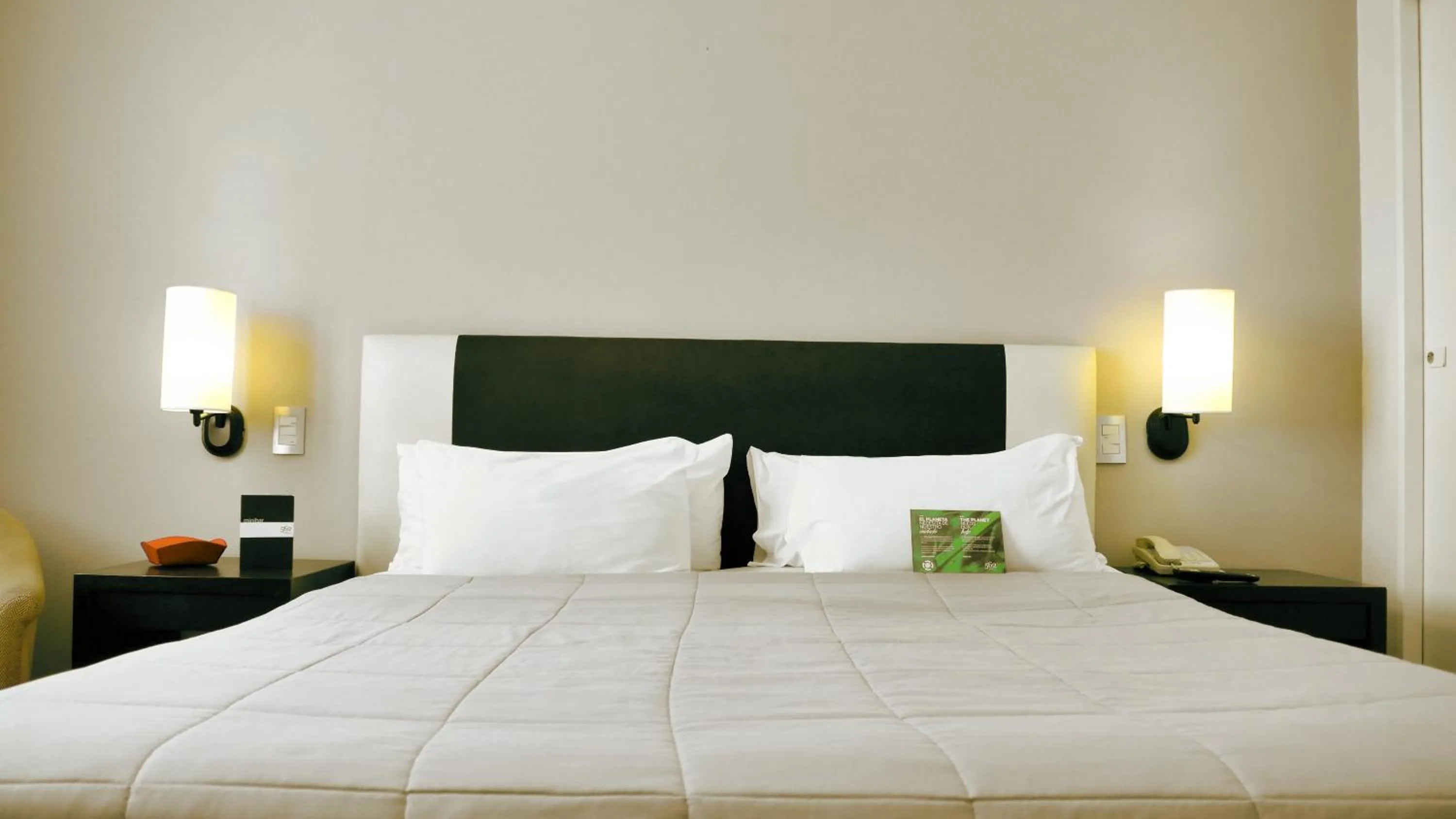 Photo of the whole room in 562 Nogaro