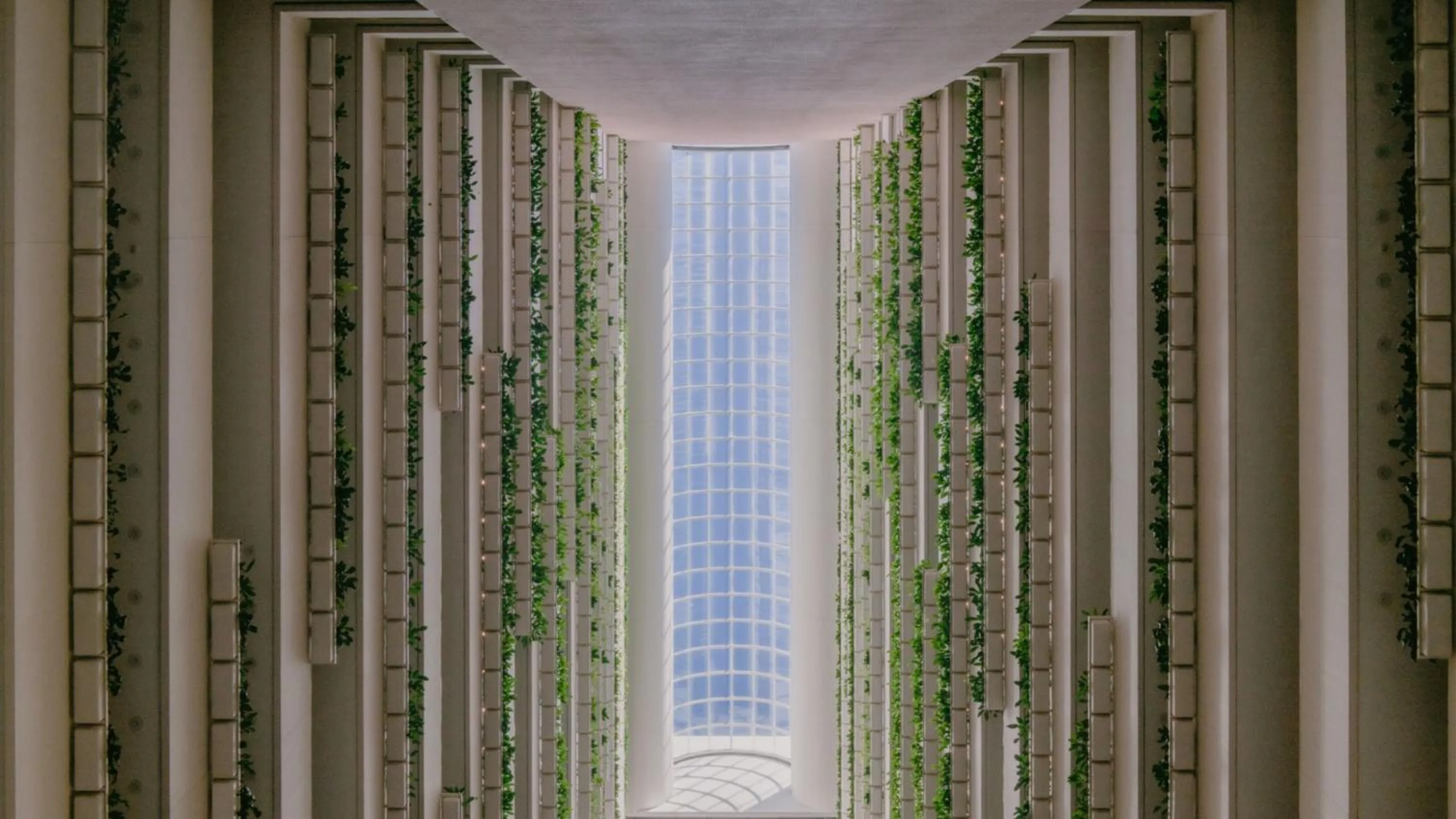 Property building in InterContinental Brisbane by IHG