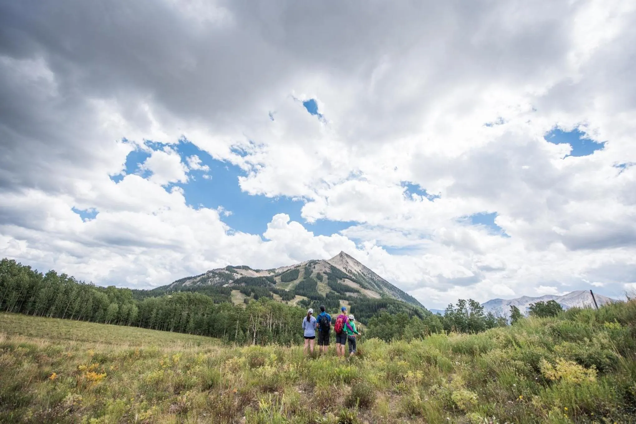 Axtel 1 Br Loft AX410