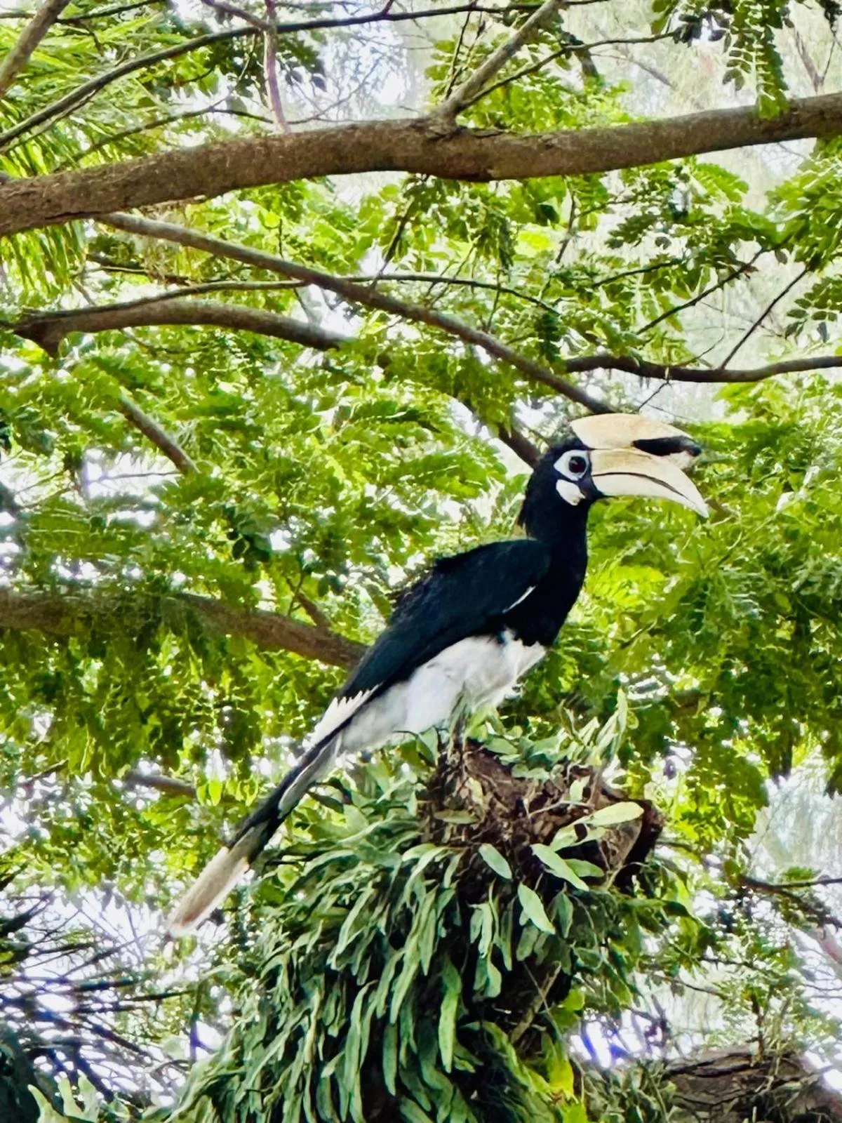 Twin Bay Resort Koh Lanta