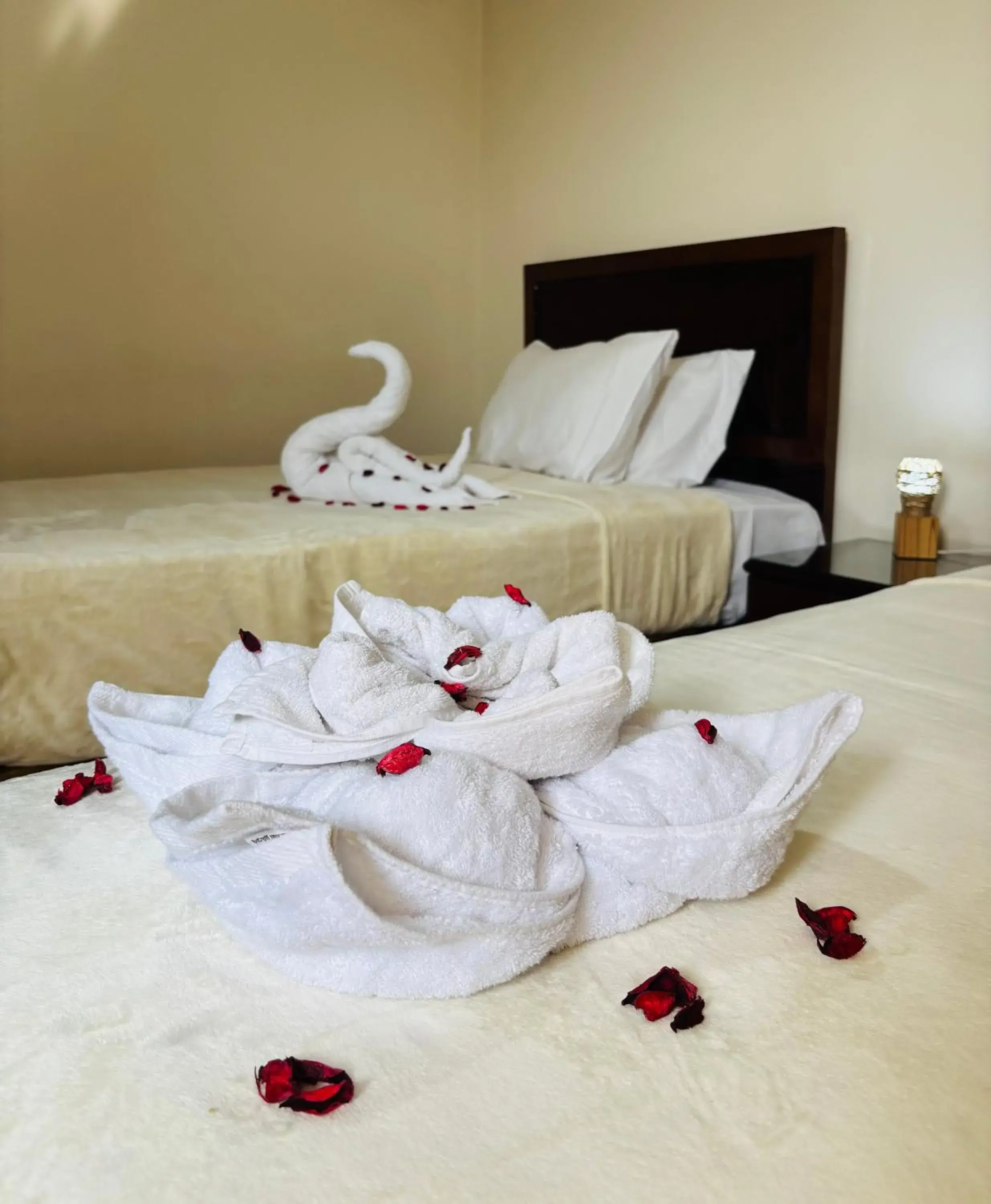 Twin Room in Giza Pyramids View Guest House Twin Room in Giza Pyramids View Guest House