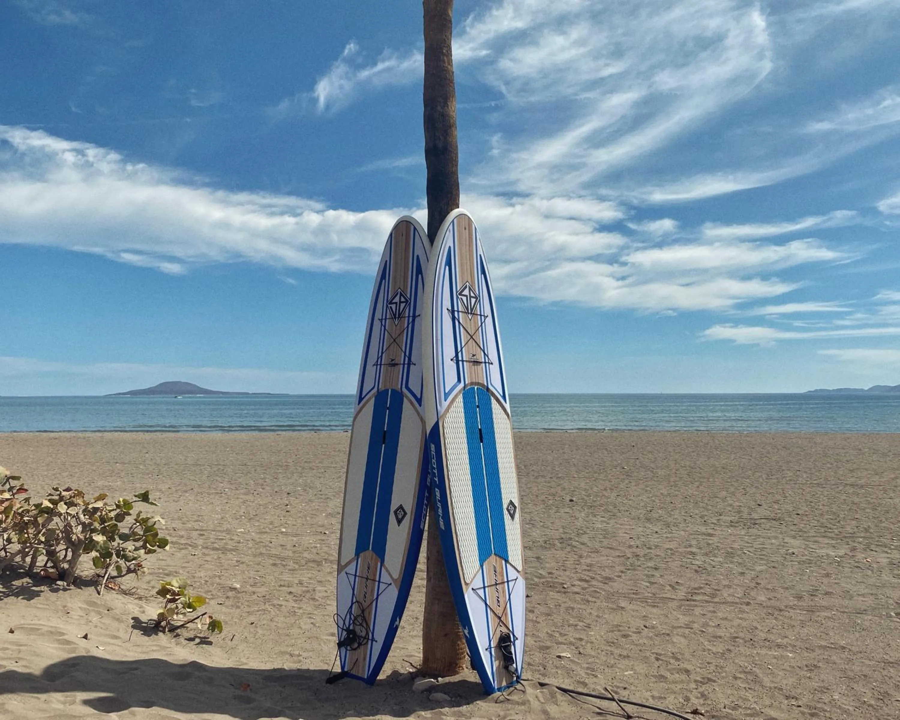 Beach in Hotel Oasis