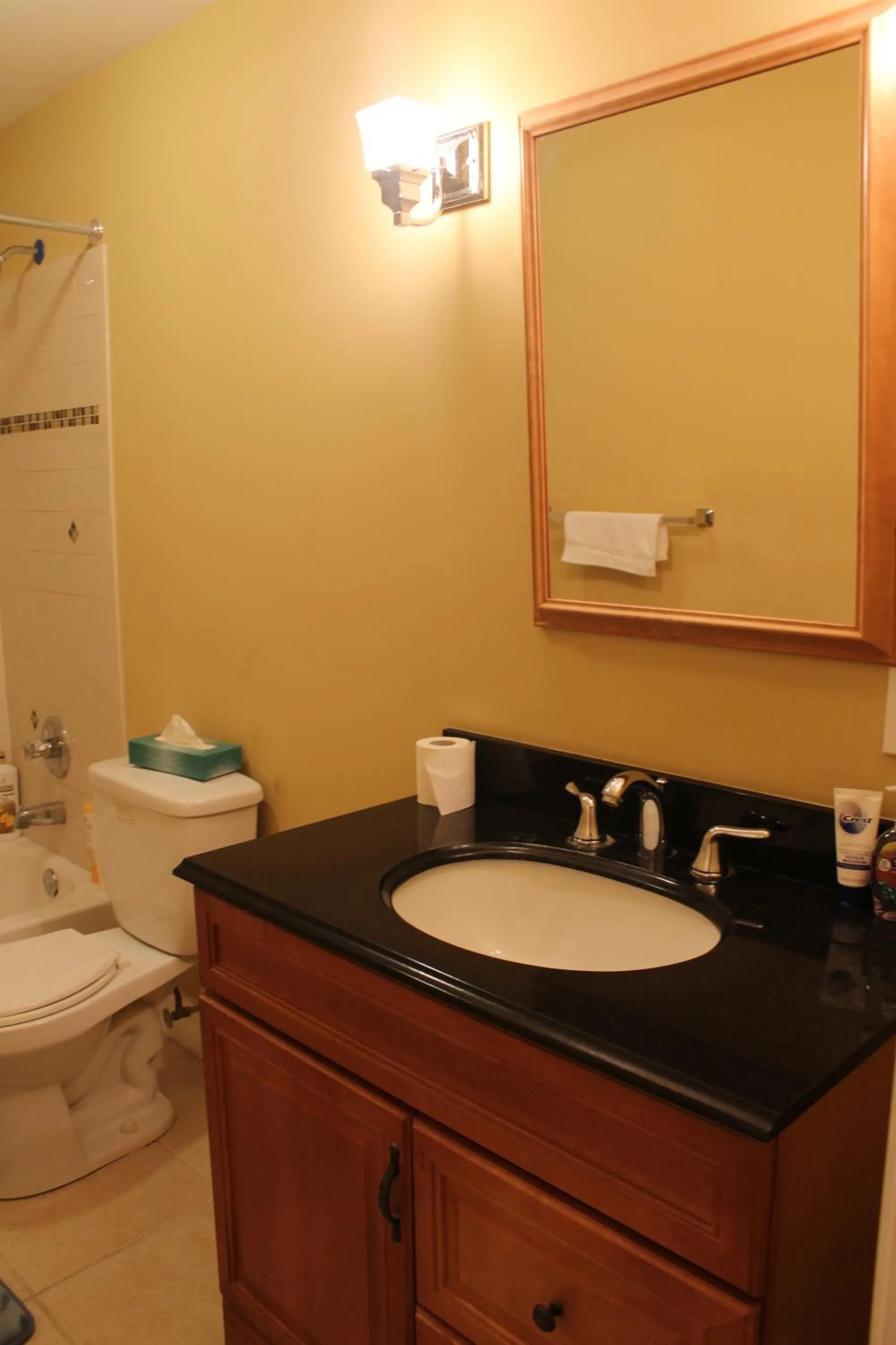 Toilet in Tuscany 2900 - Classic Italian Style 3BR w Parking near Airport