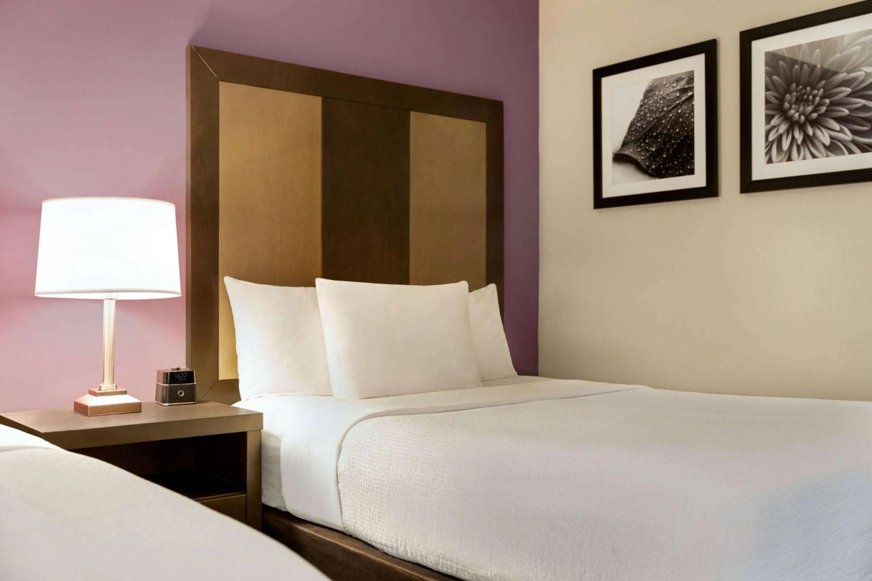 Photo of the whole room in La Quinta Inn by Wyndham Waldorf