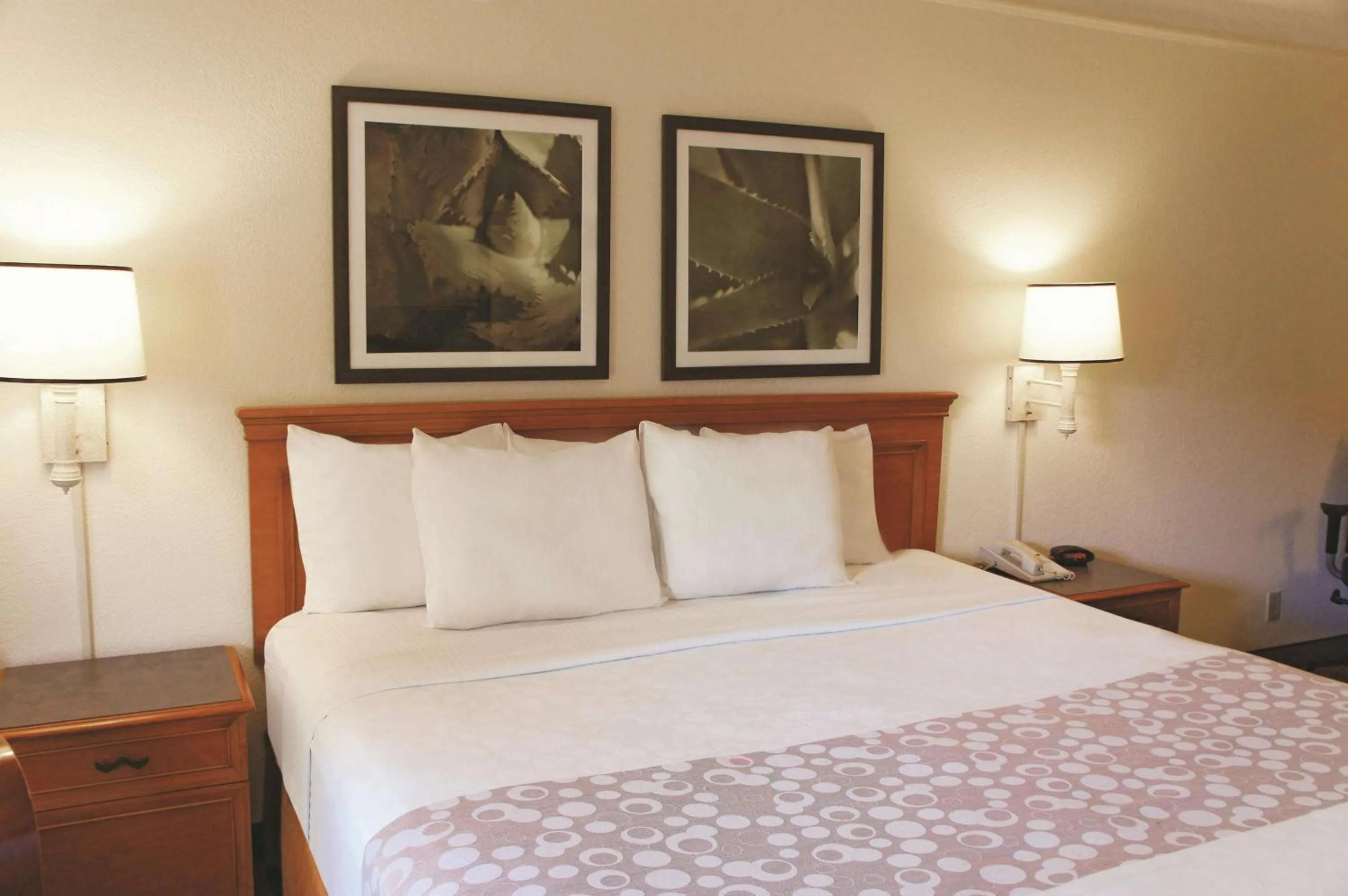 Photo of the whole room, Bed in Baymont by Wyndham Houston La Porte