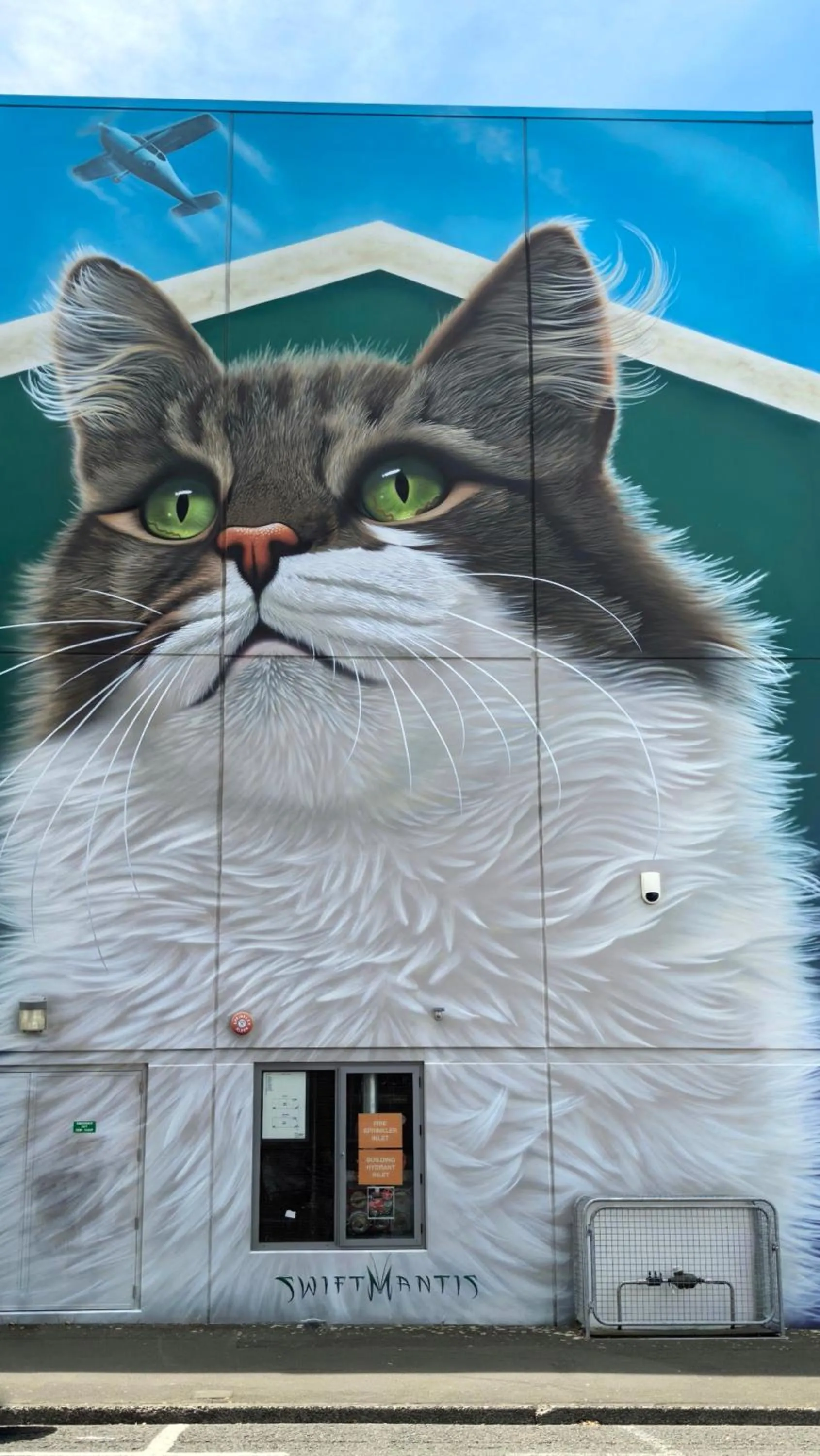 BK's Magnolia Motor Lodge