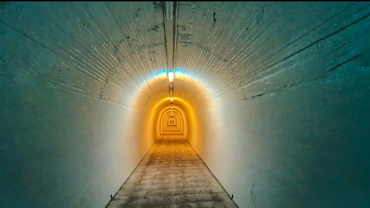 BK's Magnolia Motor Lodge