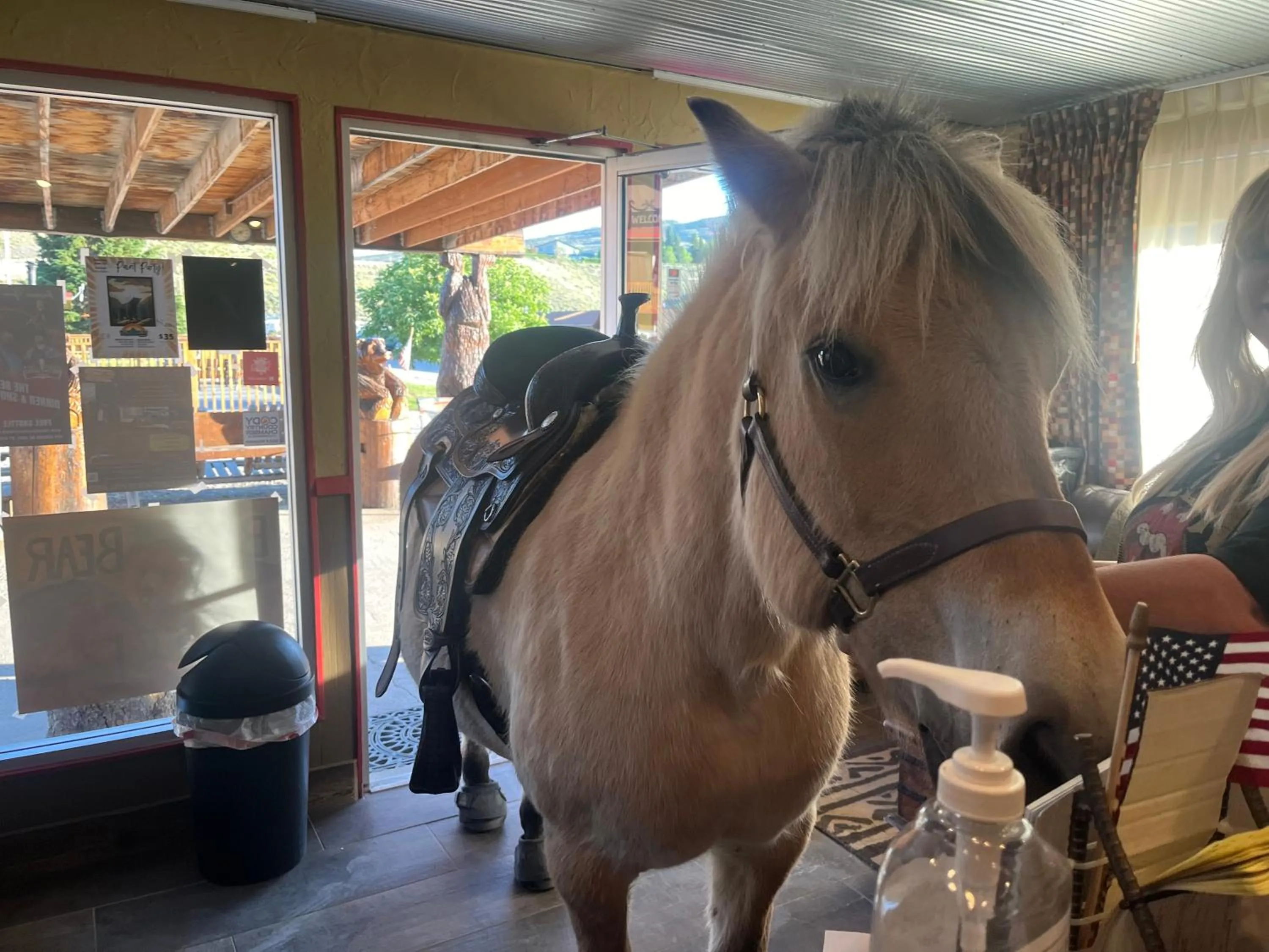 Horse-riding in Big Bear Motel
