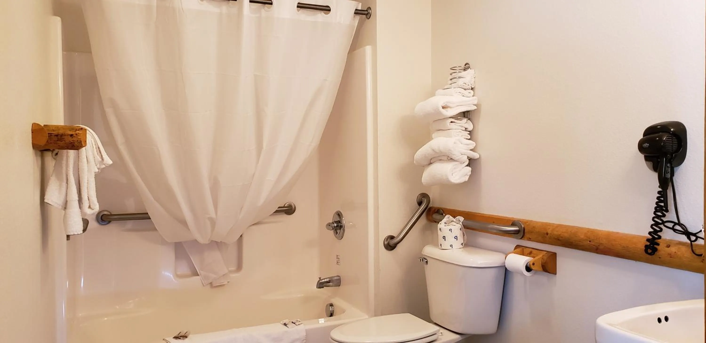 Bathroom in Big Bear Motel