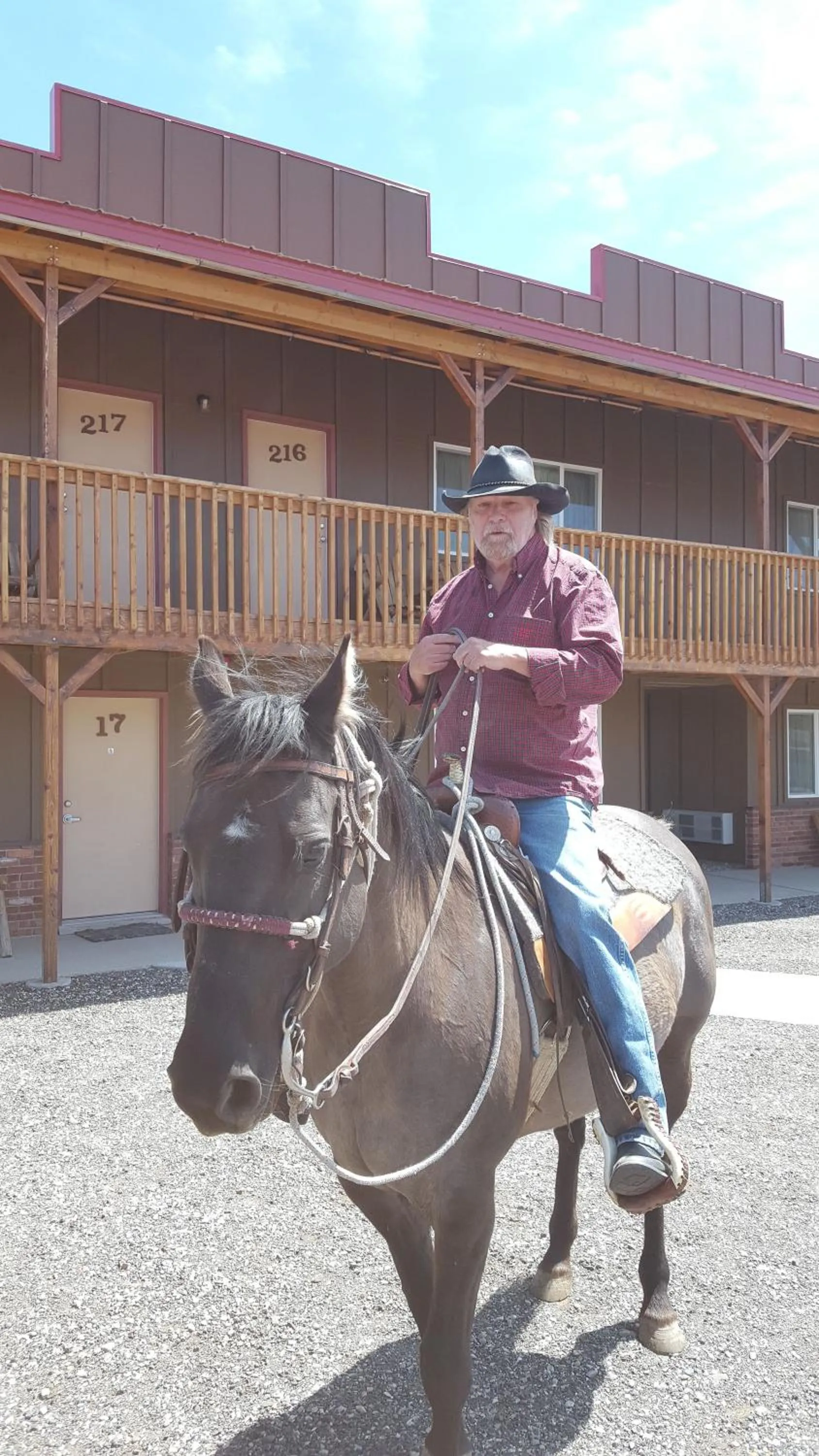 Animals in Big Bear Motel