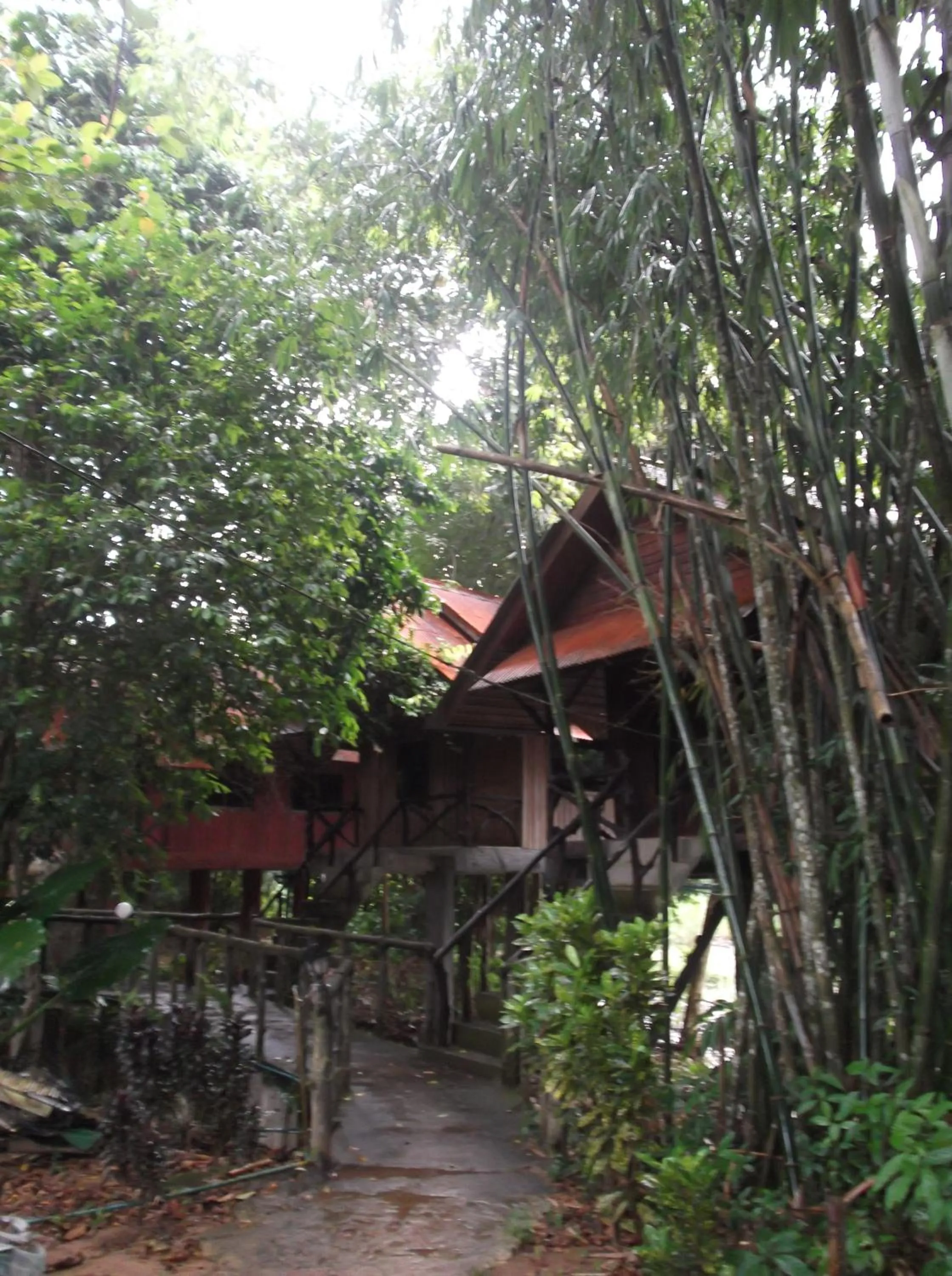 Property building in Bamboo House