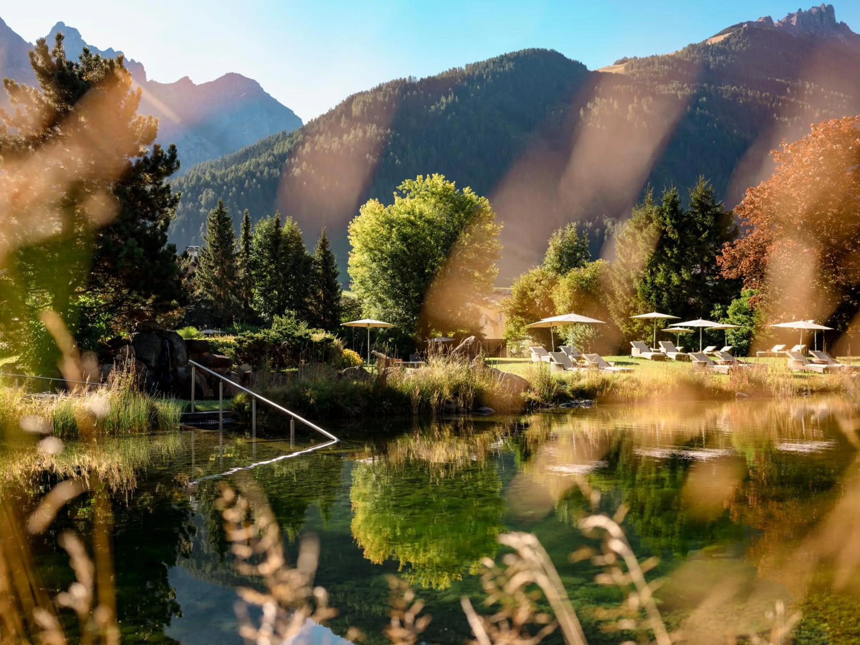 Natural landscape in Forster's Naturresort