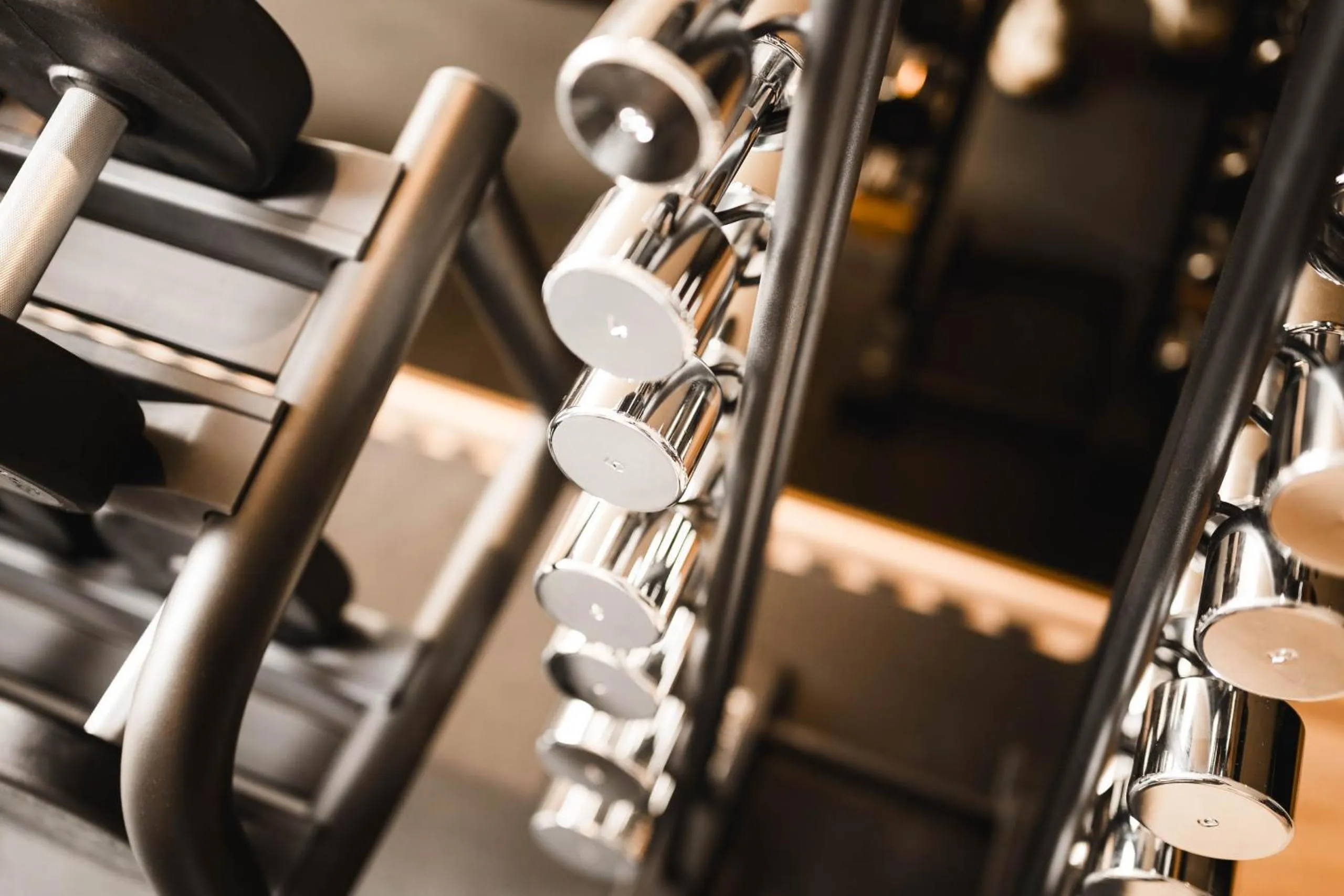 Fitness centre/facilities in Forster's Naturresort