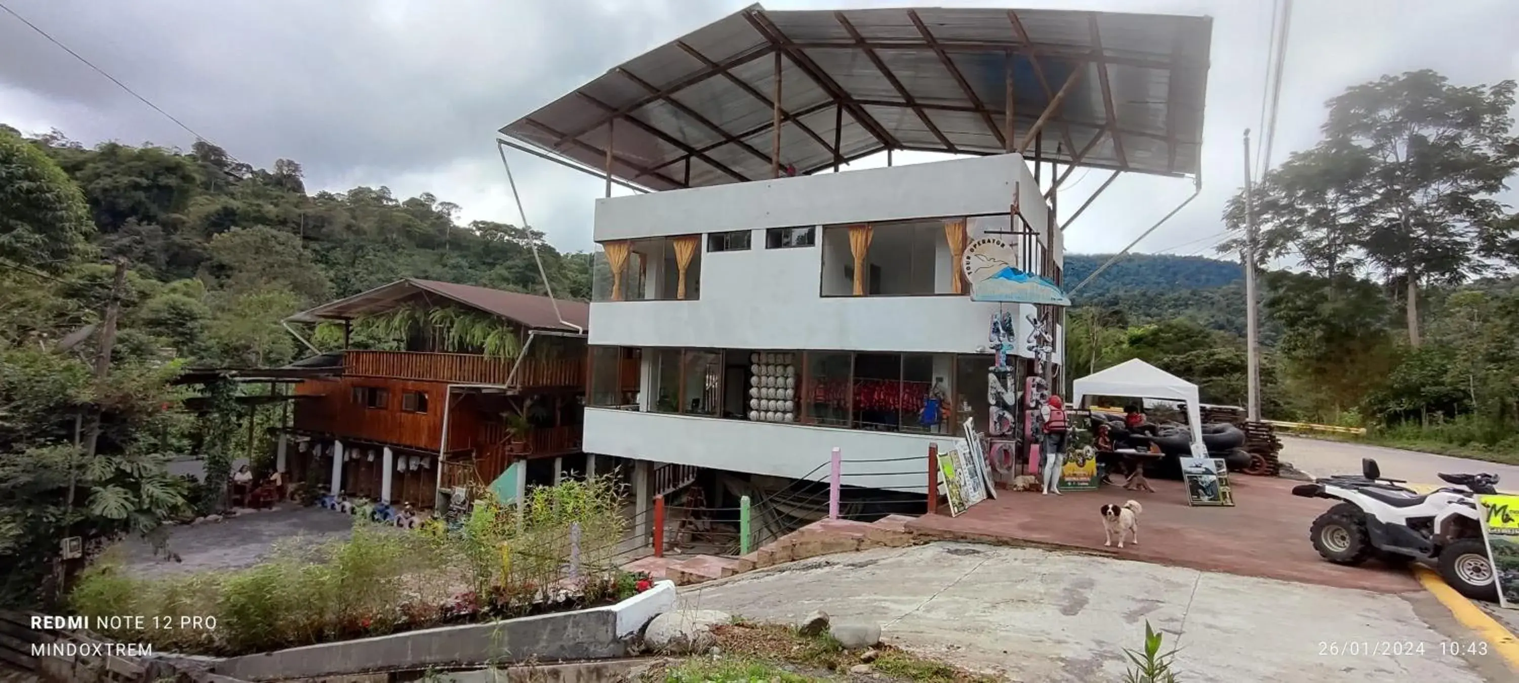 Mindoxtrem Birds Mindoxtrem Birds