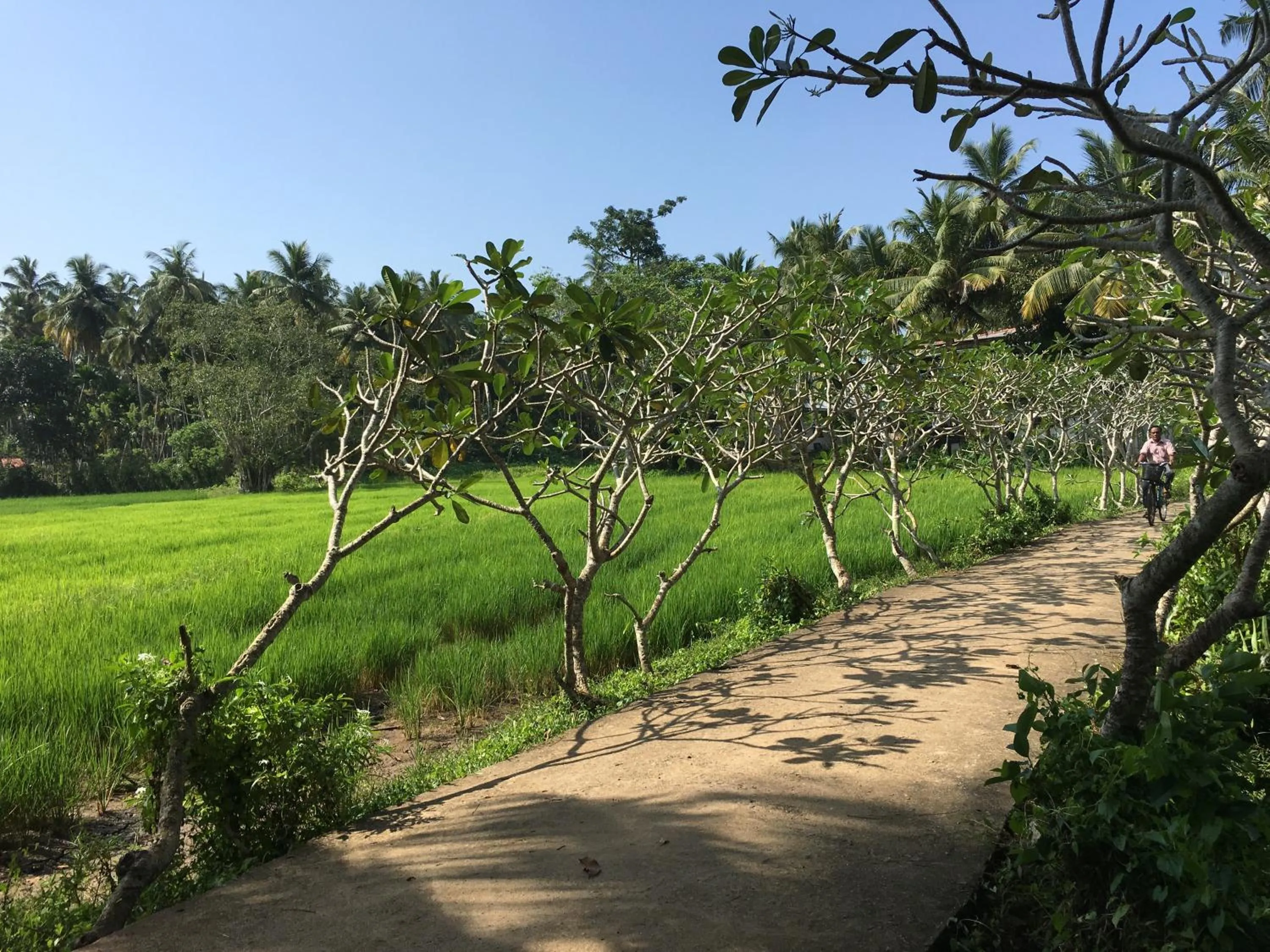 Street view in Field Island Villa - Ahangama