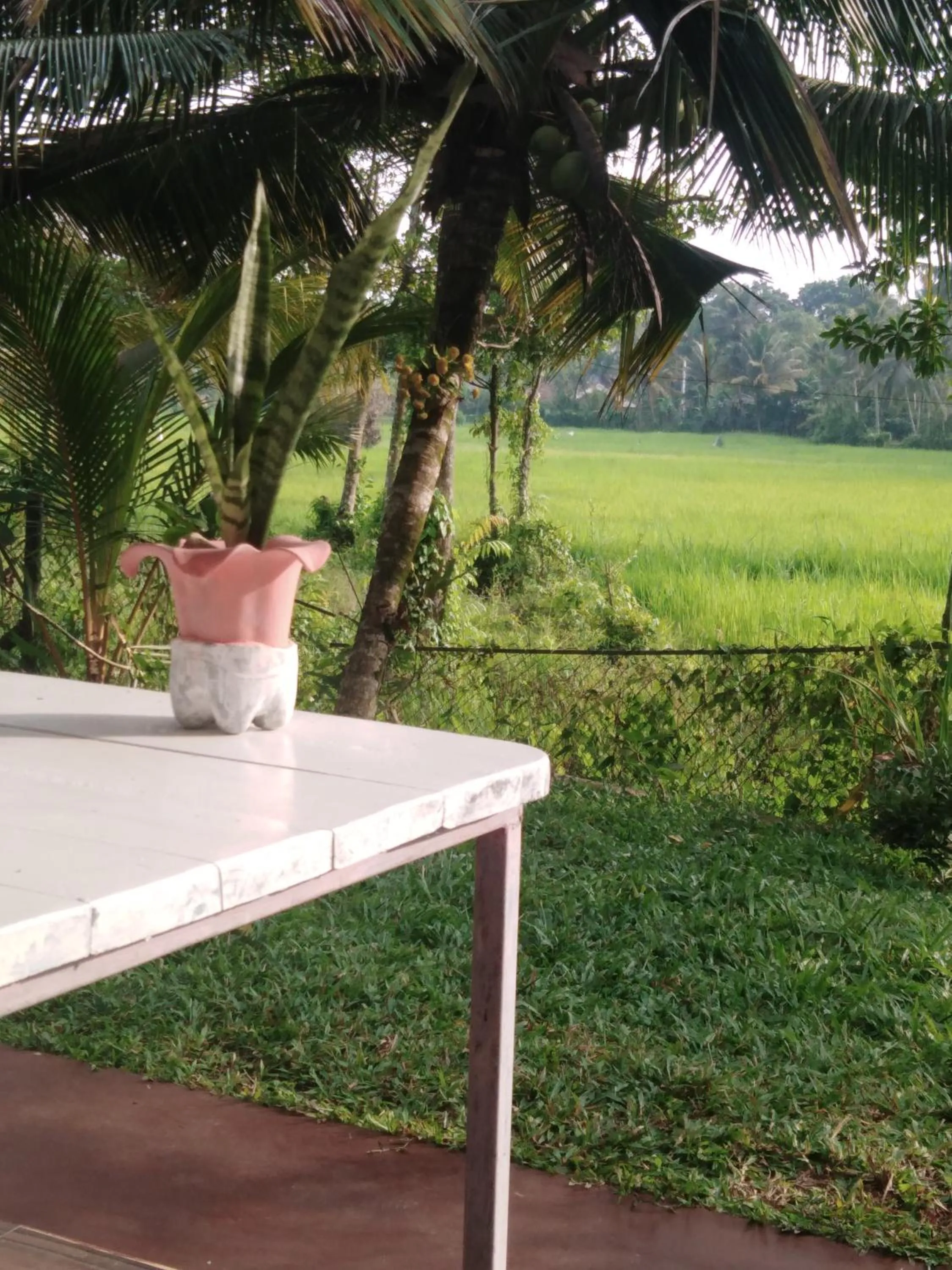 Natural landscape in Field Island Villa - Ahangama