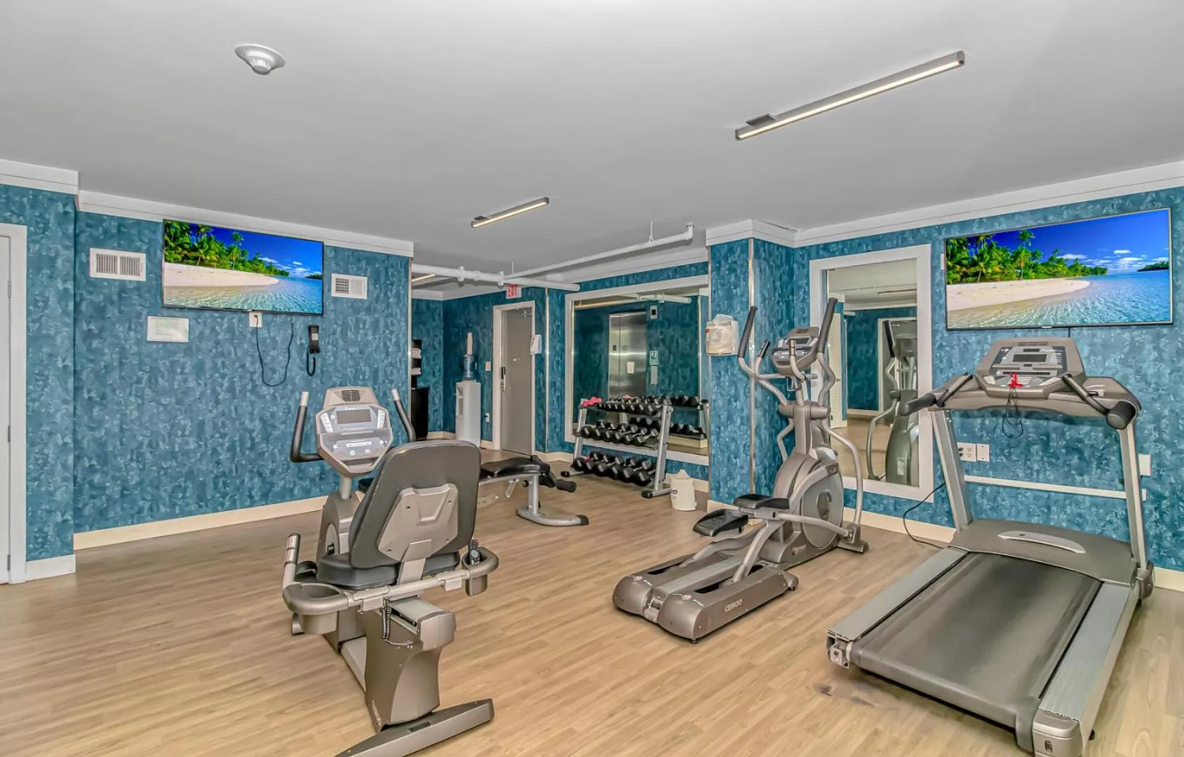 TV and multimedia in Paradise 1408