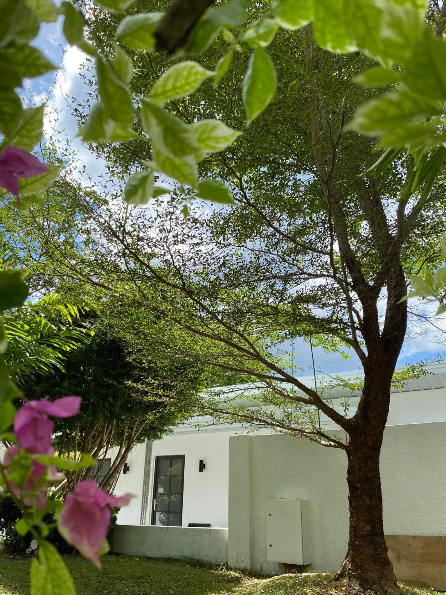Garden in Marina Point Bay Resort