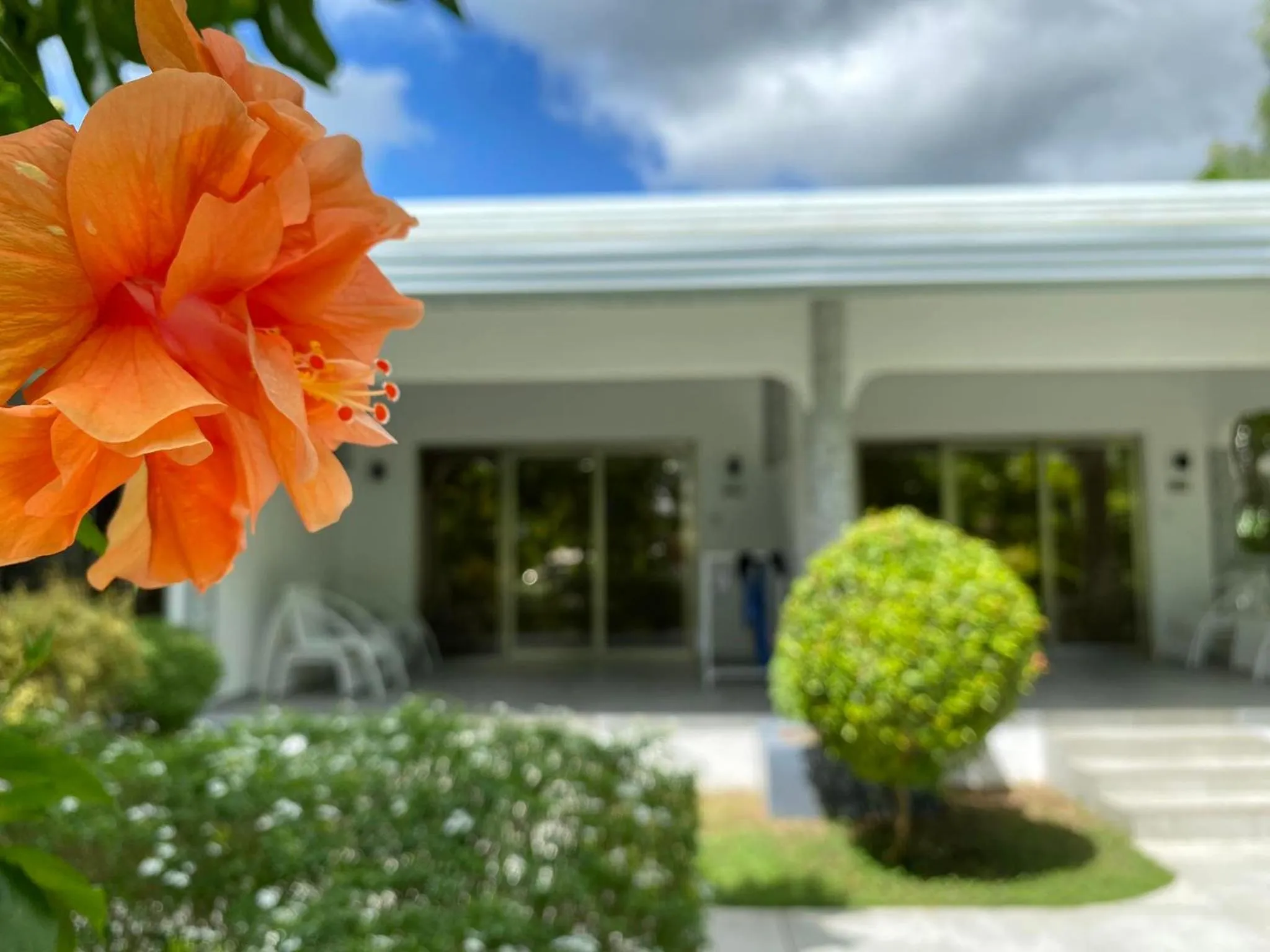 Garden in Marina Point Bay Resort