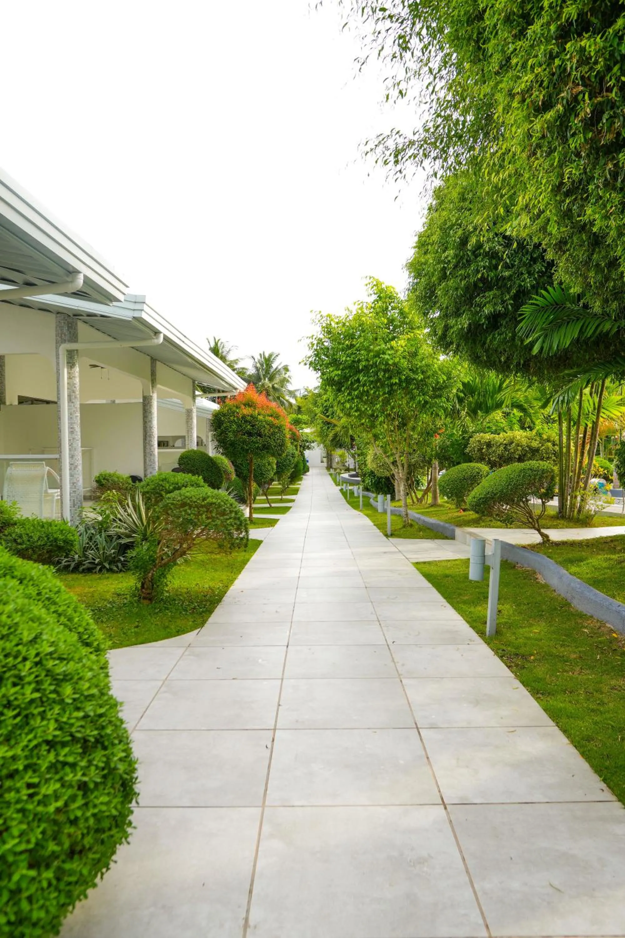 Natural landscape in Marina Point Bay Resort