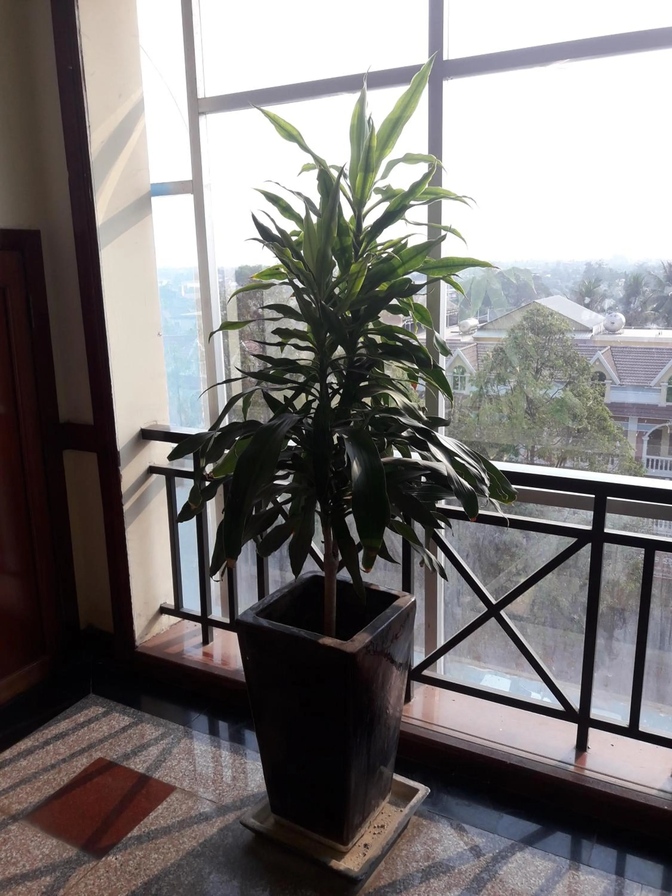 Balcony/Terrace in Stung Sangke Hotel