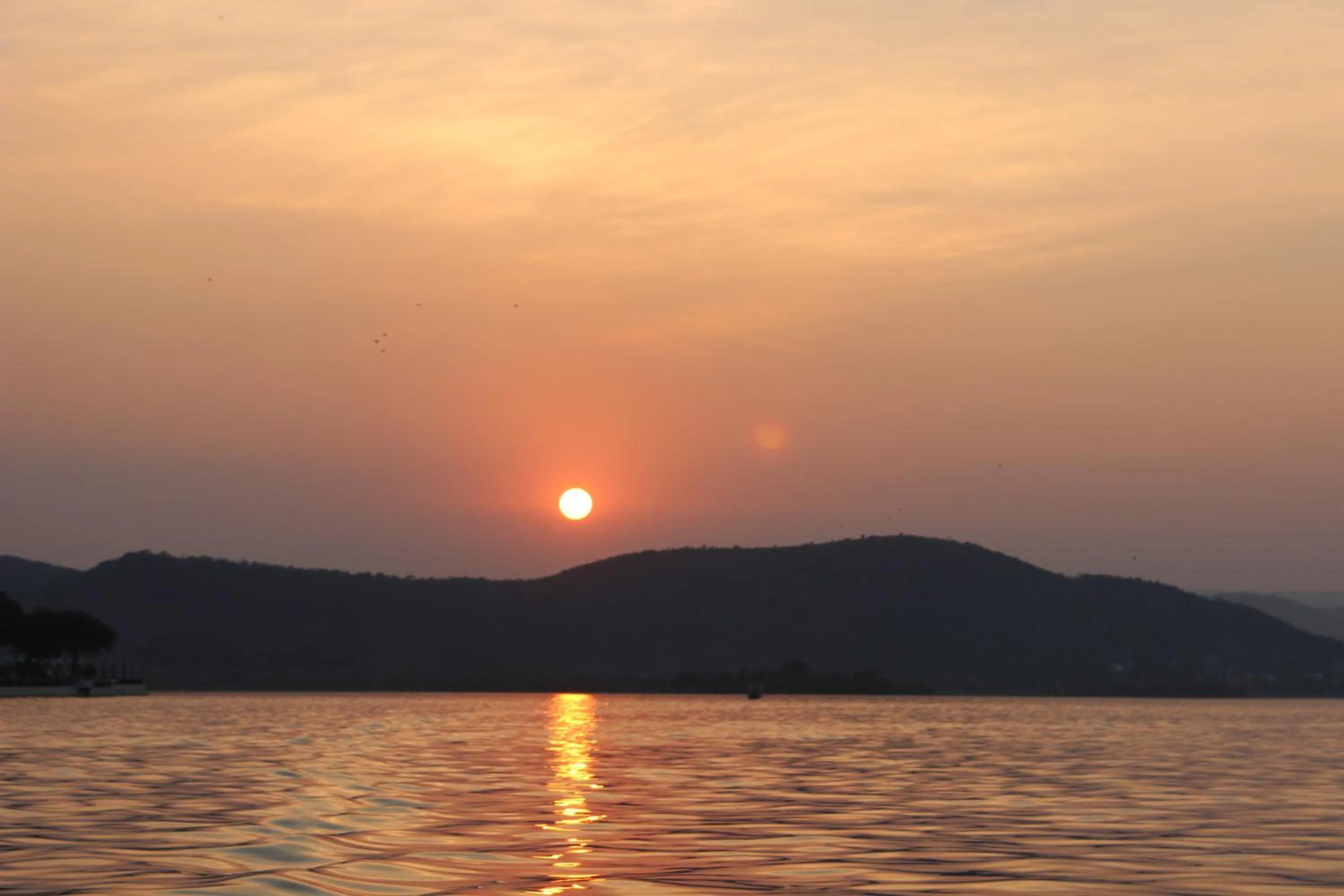 Natural landscape in Raj Niwas