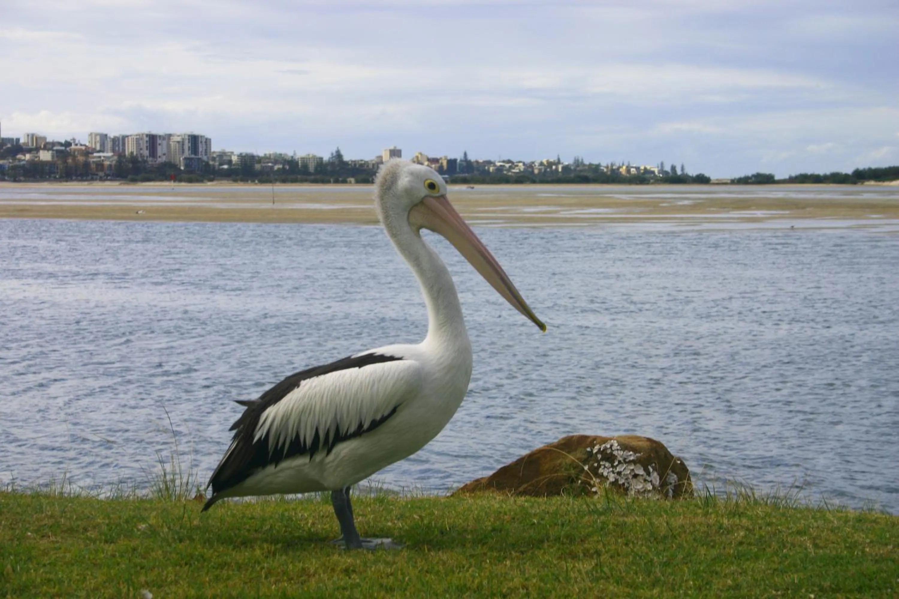 Property building in Explorer Cove Unit 6 31 Kennedy Pde