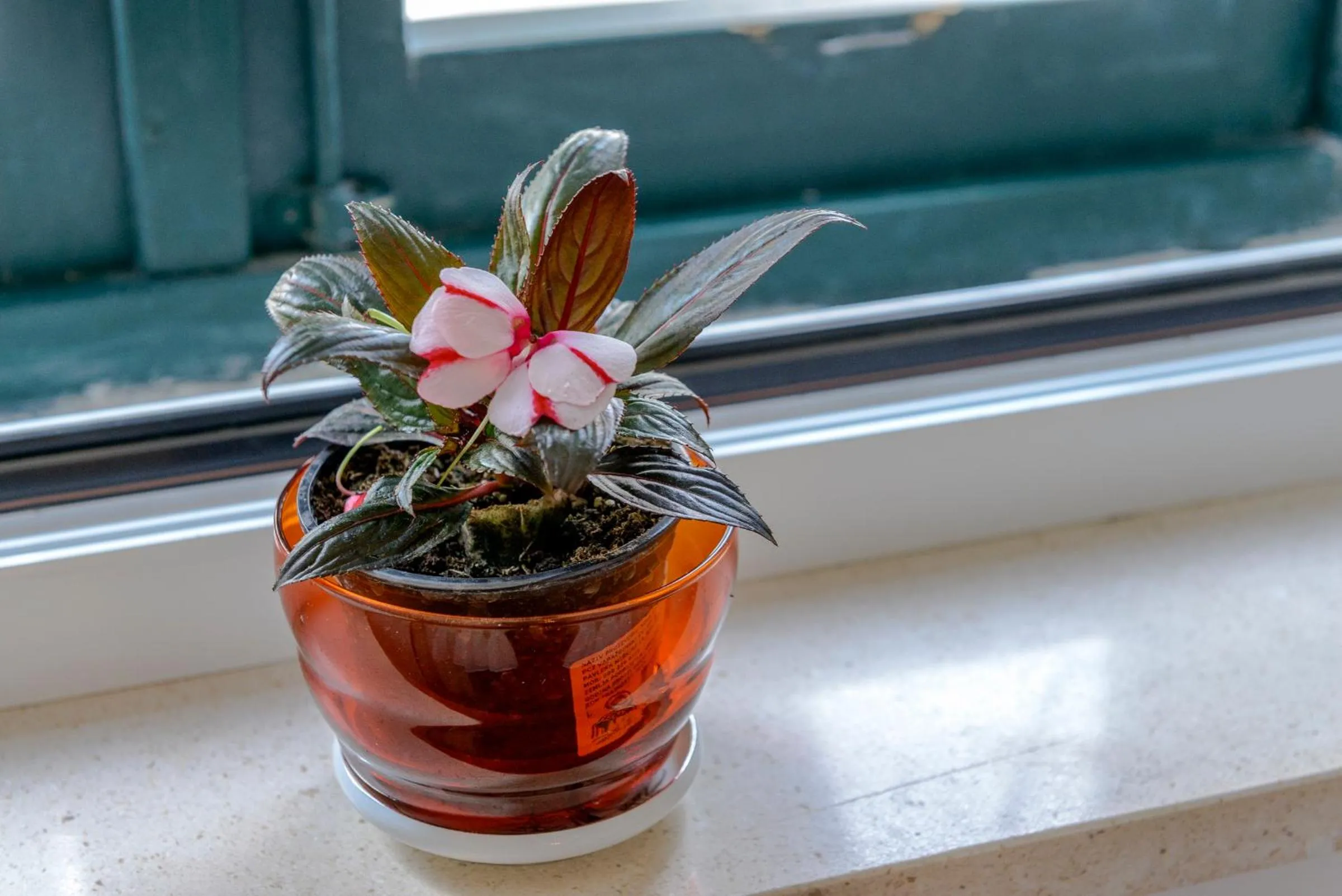 Property building in Studio Stradun