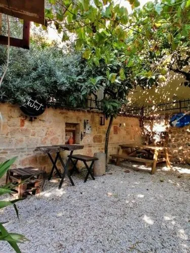 Garden in Kuyu Beergarden Hostel