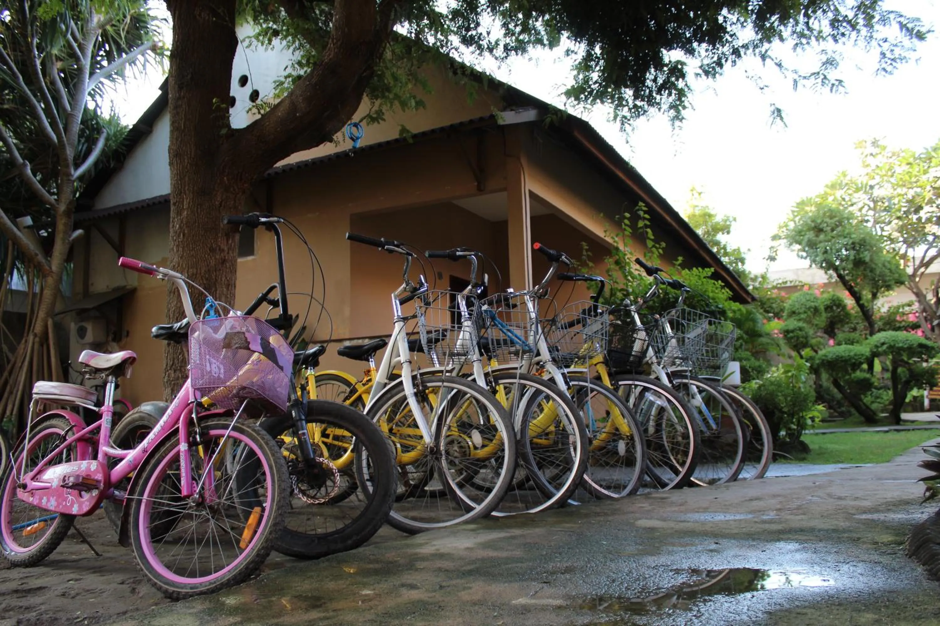 Cycling in D'Gilian Bungalow