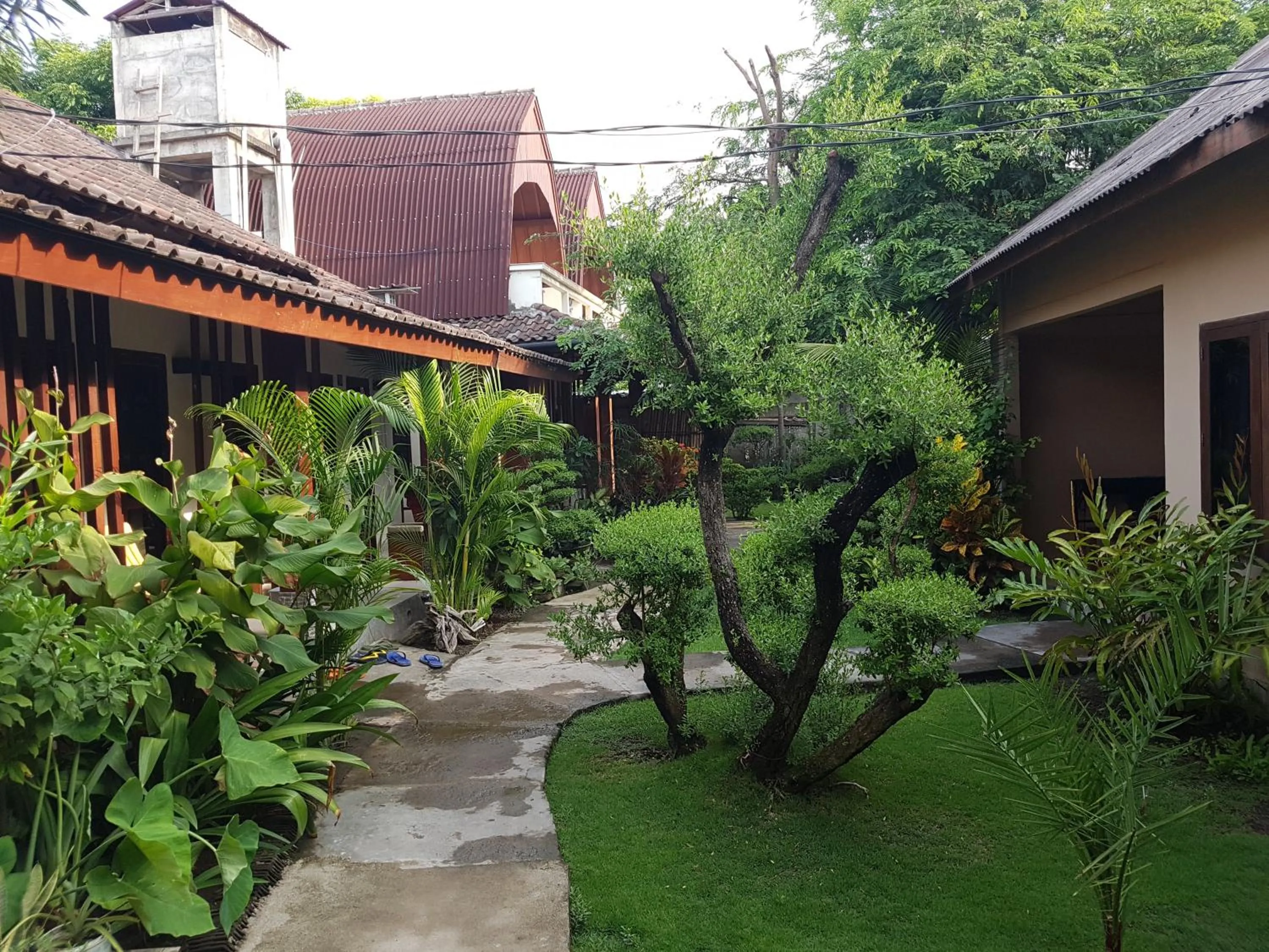 Garden in D'Gilian Bungalow