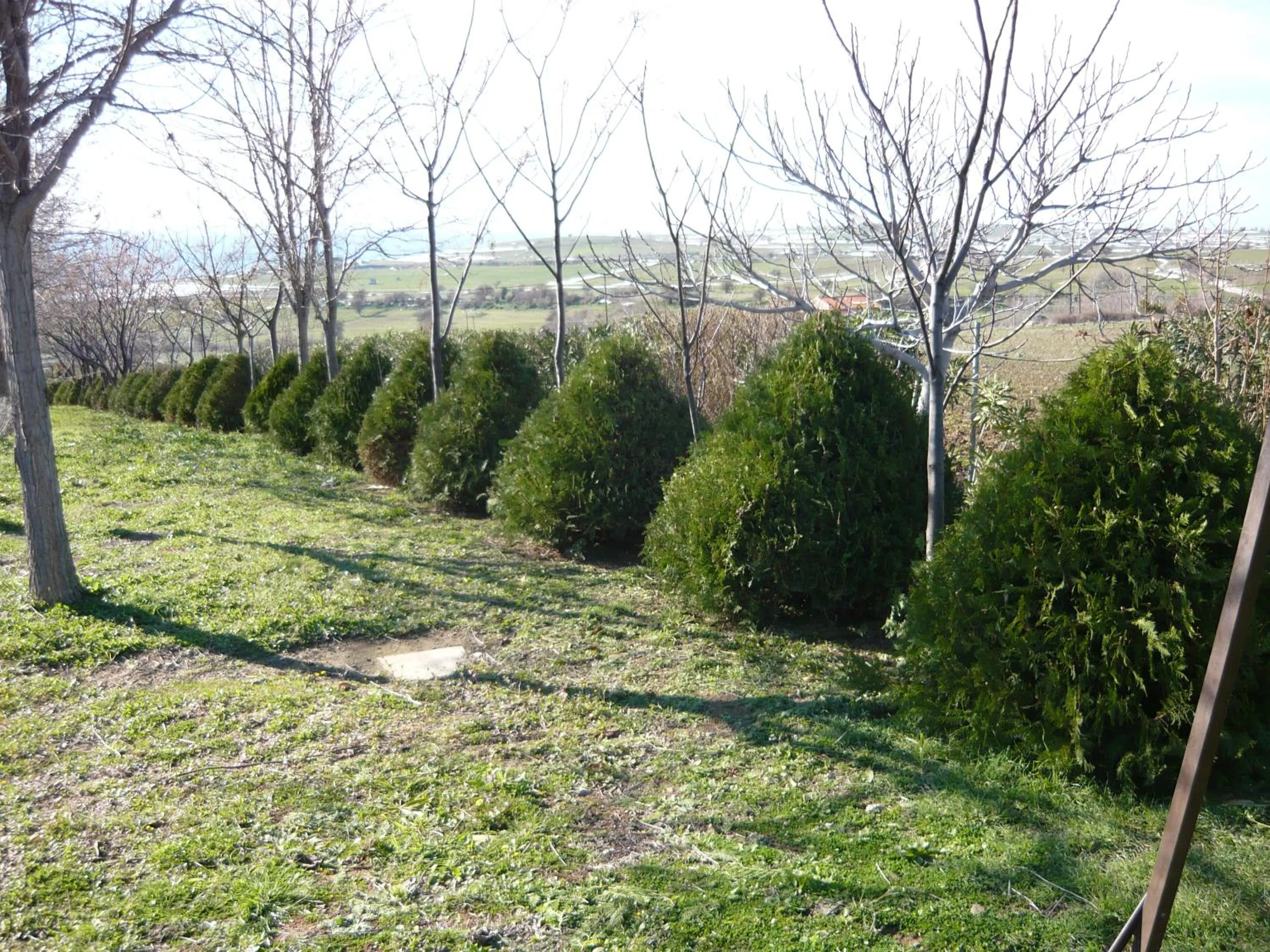 Victory Apartments Hotel